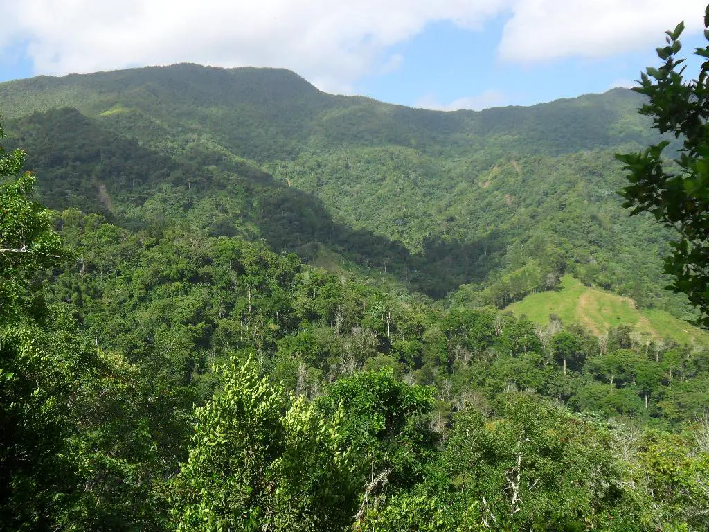 Vendo bonita finca ecológica con título en San Cristóbal Foto 7254493-8.jpg