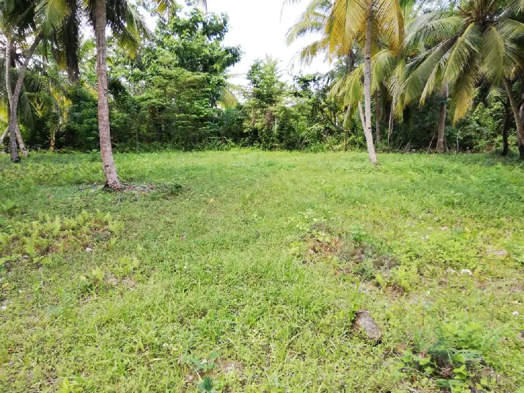 Terreno Exclusivo Cerca de Playa Bonita - Inversión en Paraíso Foto 7254530-2.jpg