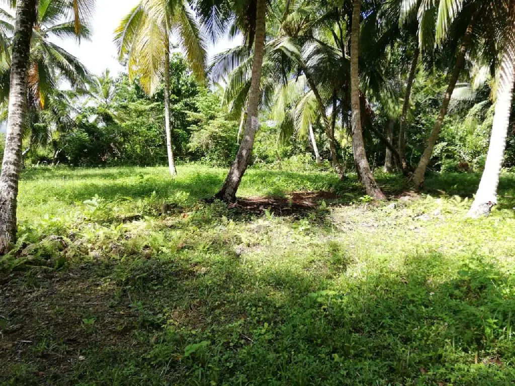 Terreno Exclusivo Cerca de Playa Bonita - Inversión en Paraíso Foto 7254530-3.jpg