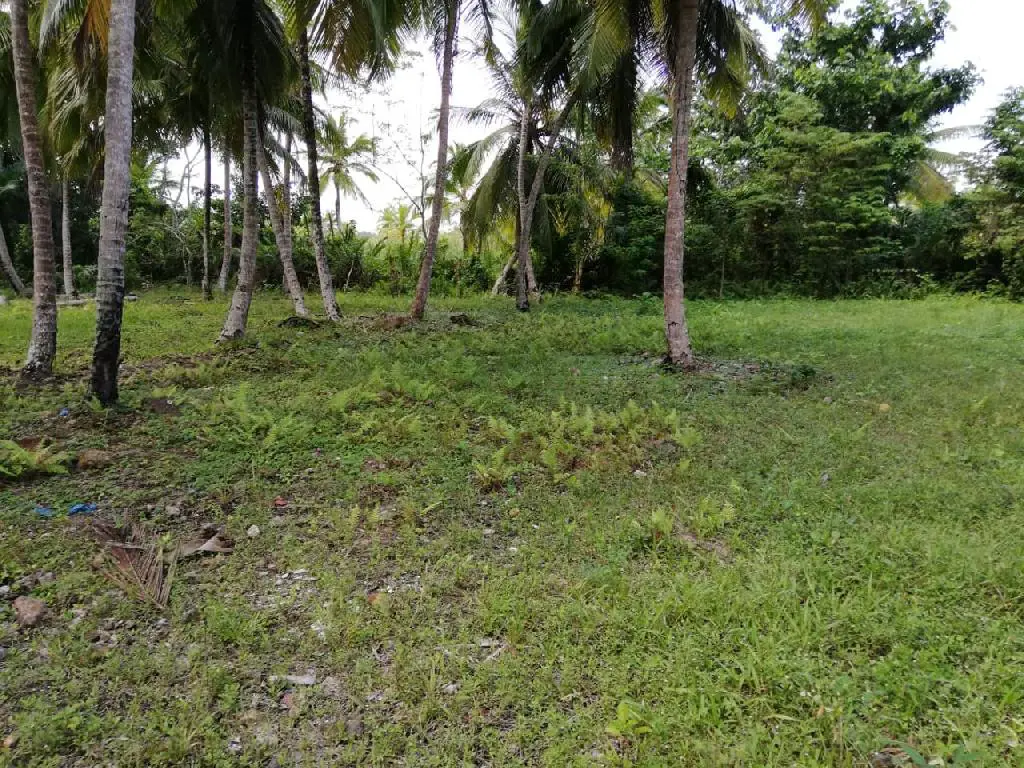 Terreno Exclusivo Cerca de Playa Bonita - Inversión en Paraíso Foto 7254530-5.jpg