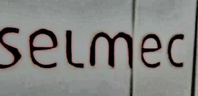 PLANTA ELÉCTRICA SELMEC DE 16 KW SUPER SILENCIOSA ➡️➡️✅️???? Foto 7254827-2.jpg