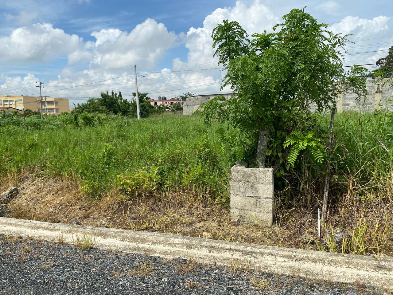 compra hoy y construye mañana solares financiados sin garante Foto 7255300-8.jpg
