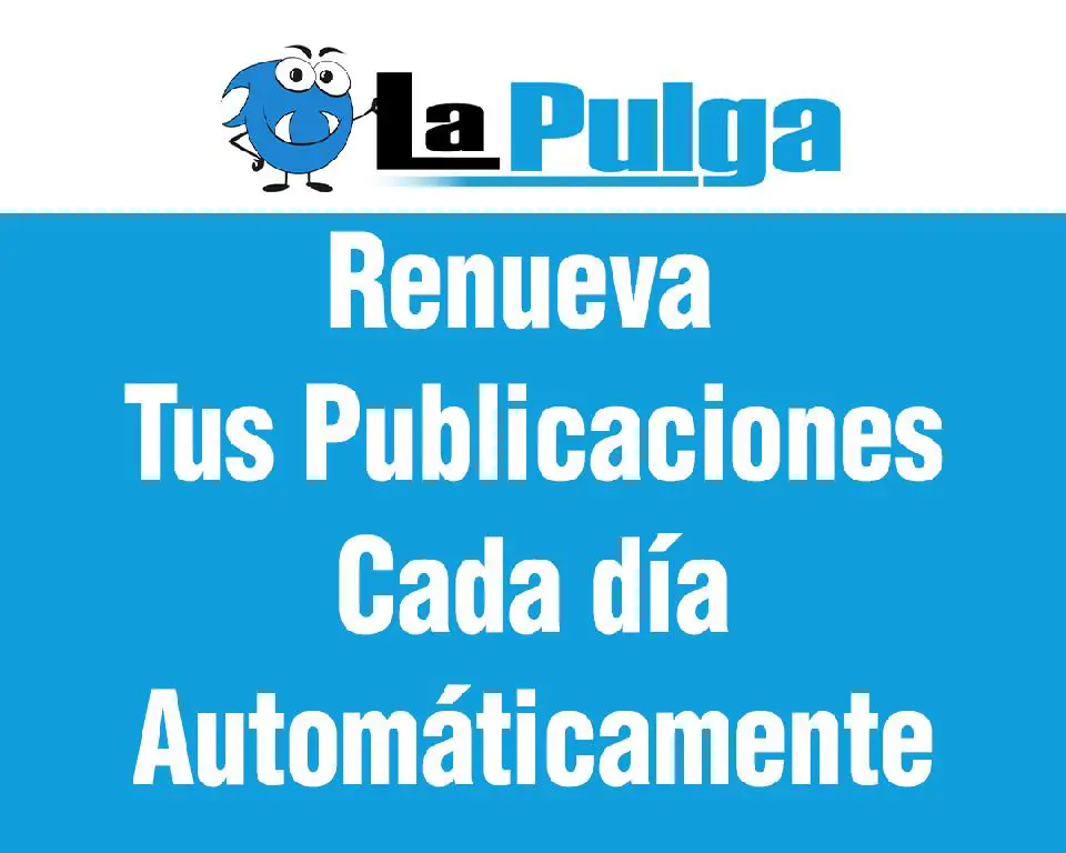 Manten tus publicaciones recientes con Auto renovaciones Foto 7255494-1.jpg