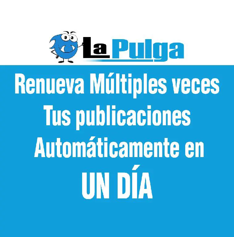 Renueva tus publicaciones varias veces al día  Foto 7255495-1.jpg