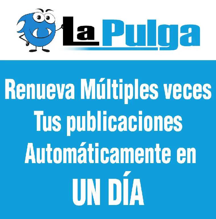 Renueva tus publicaciones varias veces al día  Foto 7255495-2.jpg