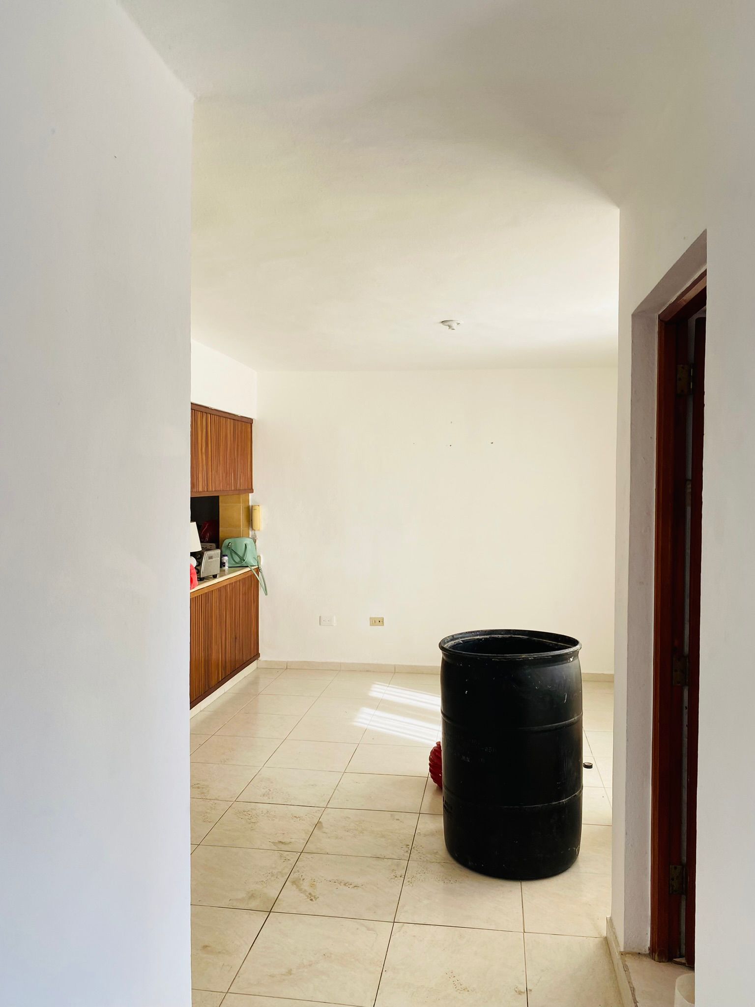 Apartamento en Venta en Alma Rosa II Foto 7255521-4.jpg