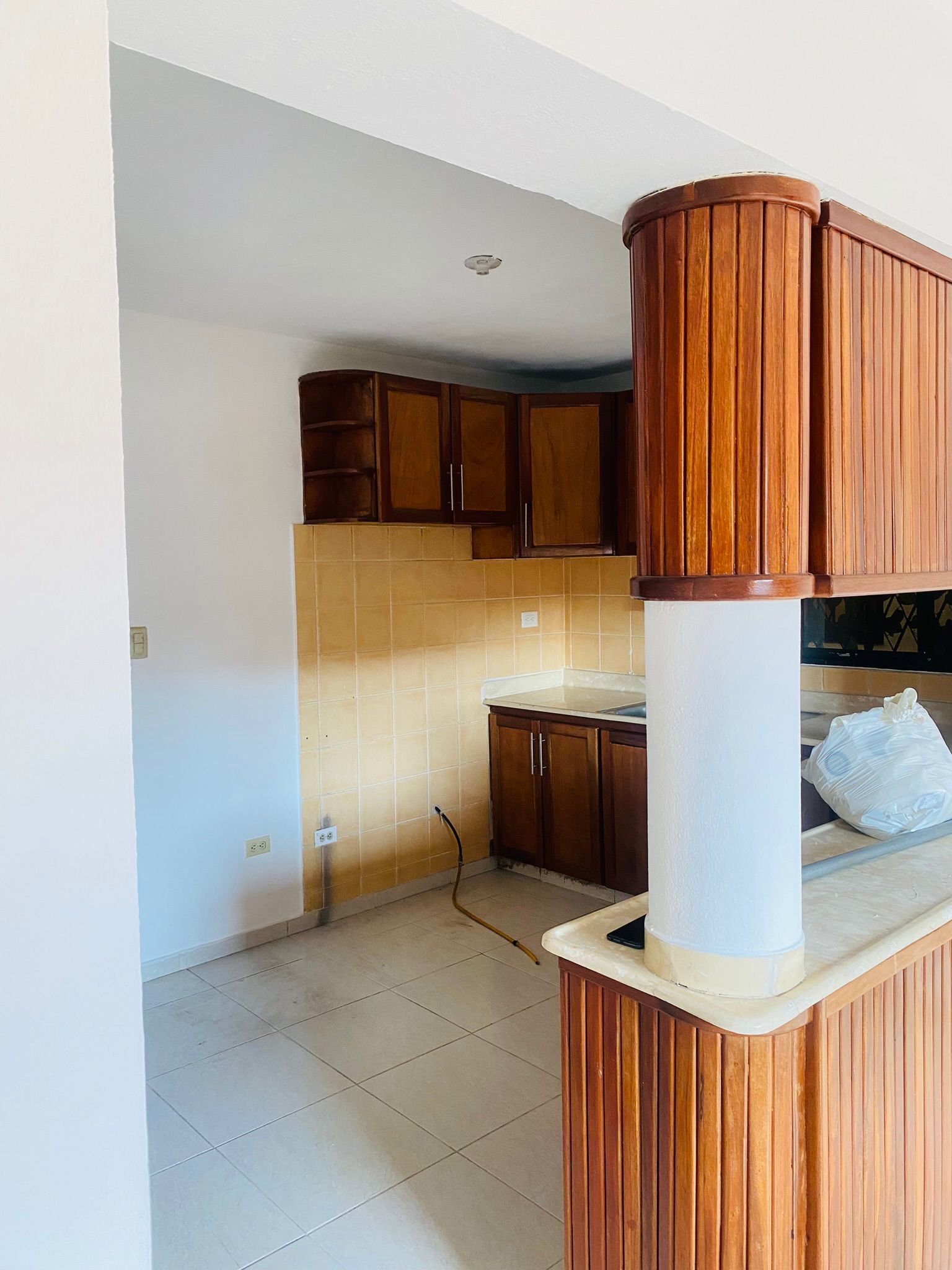 Apartamento en Venta en Alma Rosa II Foto 7255521-5.jpg