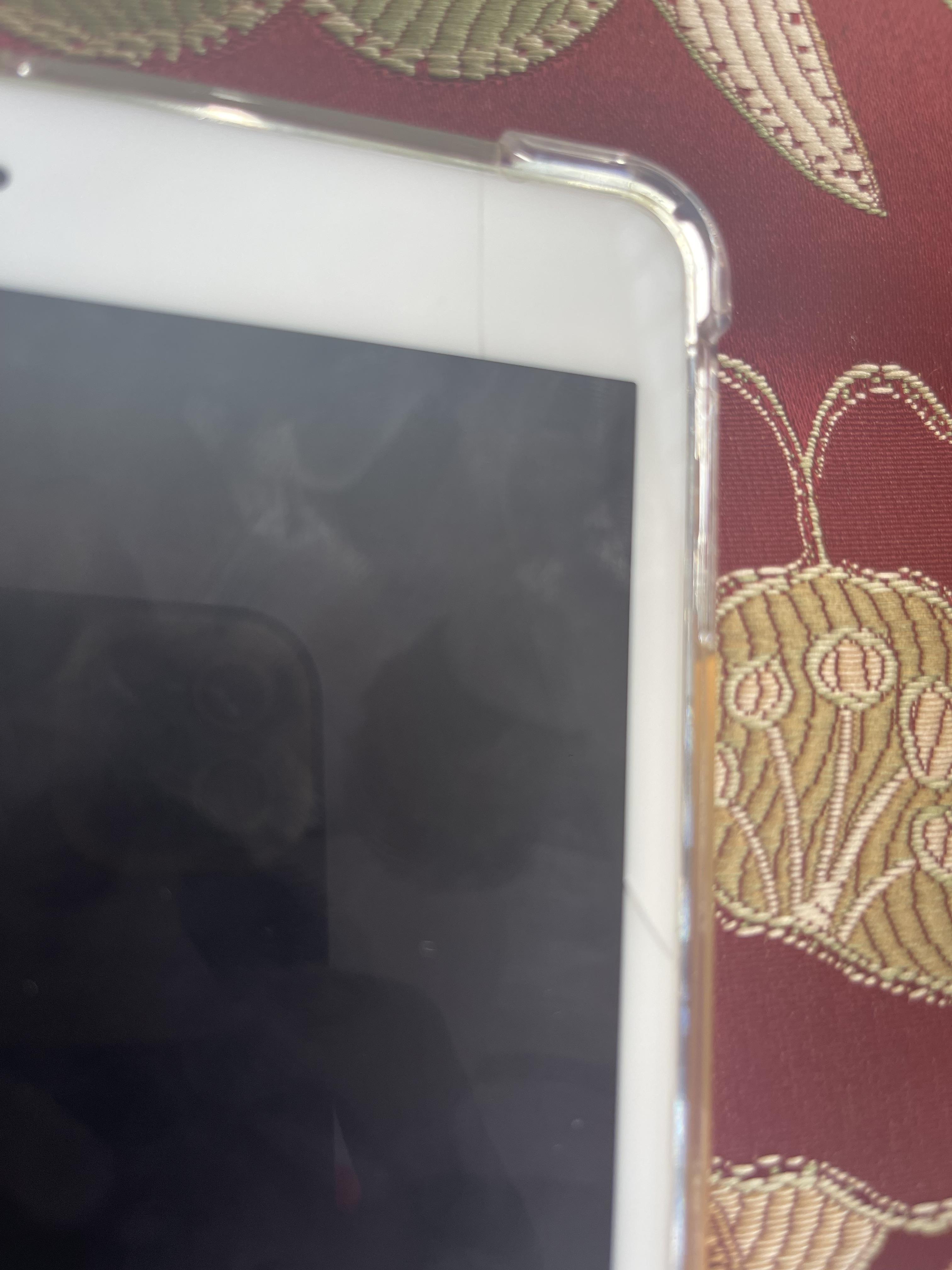 iPad mini 5 IOS 18 Foto 7255825-2.jpg
