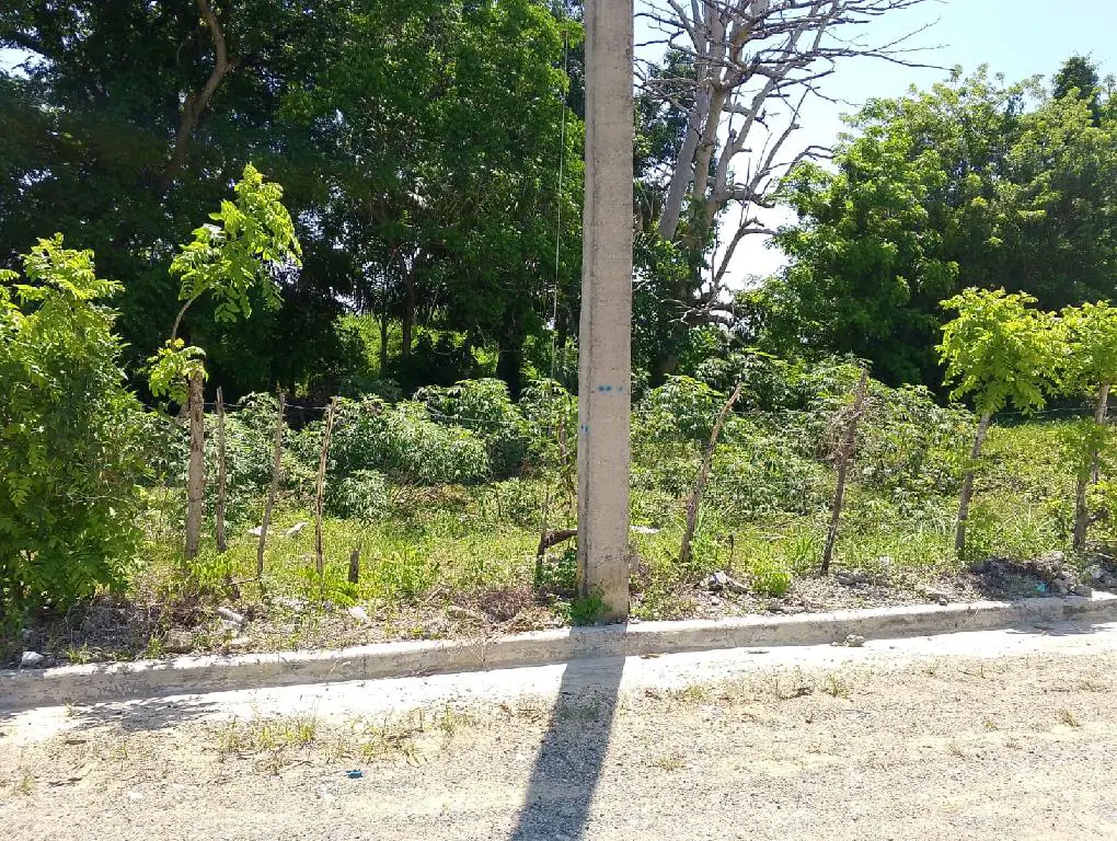 VENDO SOLAR DE 290 METROS CON TITULO STO DGO NORTE PROYECTO CERRADO Foto 7255976-2.jpg