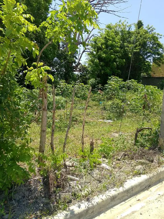 VENDO SOLAR DE 290 METROS CON TITULO STO DGO NORTE PROYECTO CERRADO Foto 7255976-3.jpg