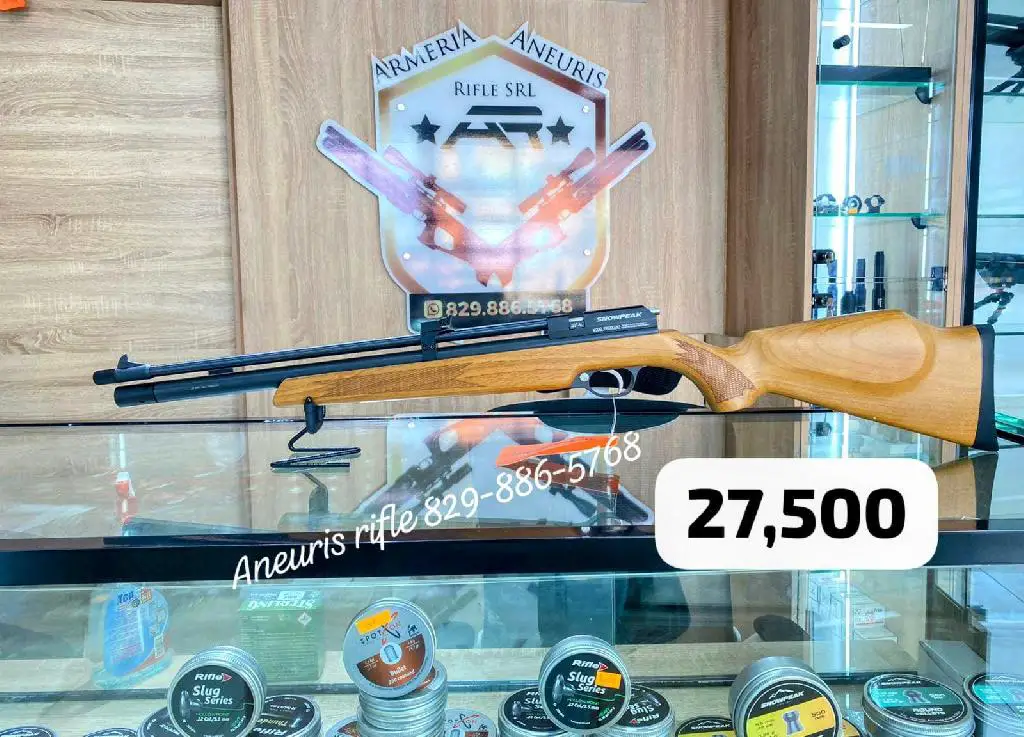 Rifle PCP PR900 Gen-2 cal.22 Foto 7256811-1.jpg