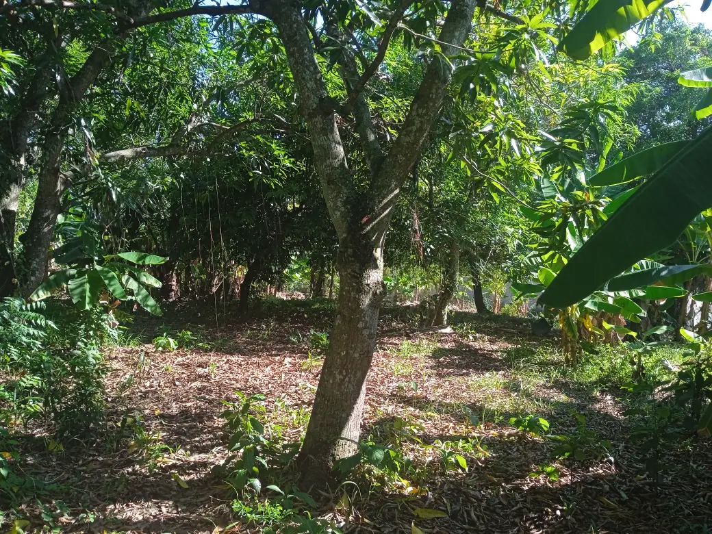 Exclusivo terreno de oportunidad en San Cristóbal  Foto 7257037-2.jpg