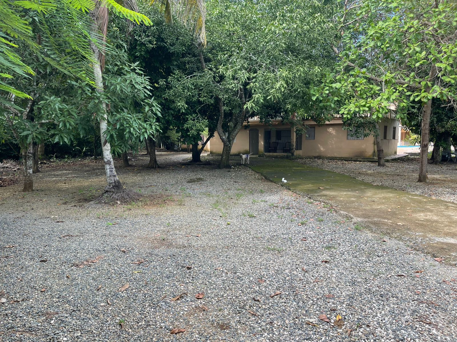 Vendo Villa 2 CASAS PISCINA  AREA DE JUEGOS con 112 Tareas en El Cruce Foto 7257050-9.jpg