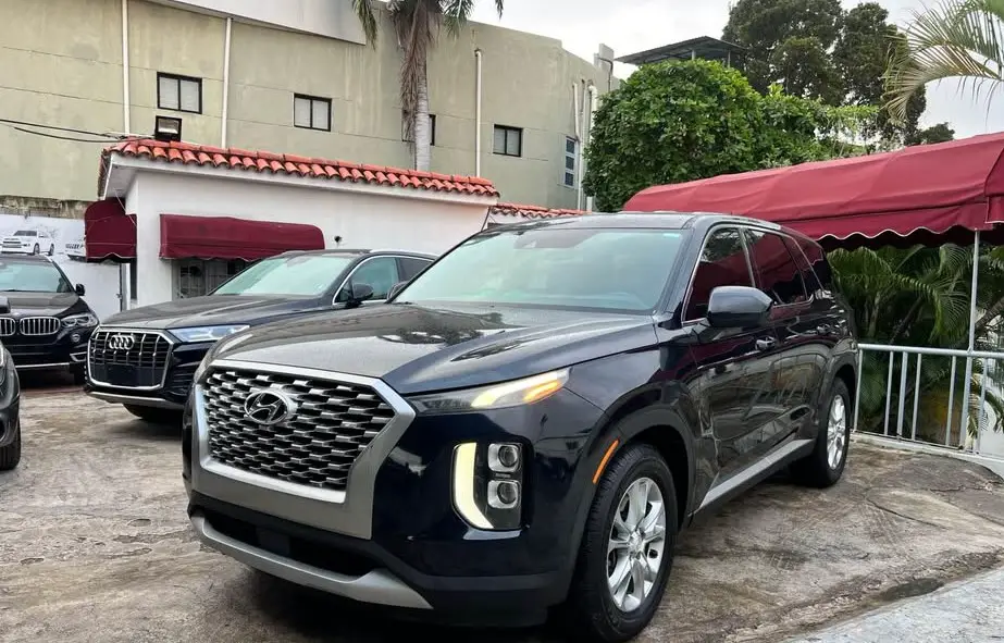Hyundai Palisade 2020 Foto 7257454-1.jpg