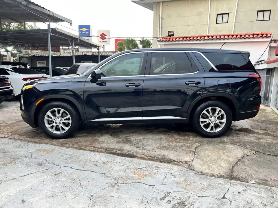 Hyundai Palisade 2020 Foto 7257454-4.jpg