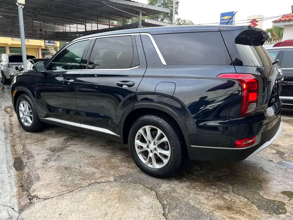 Hyundai Palisade 2020 Foto 7257454-6.jpg