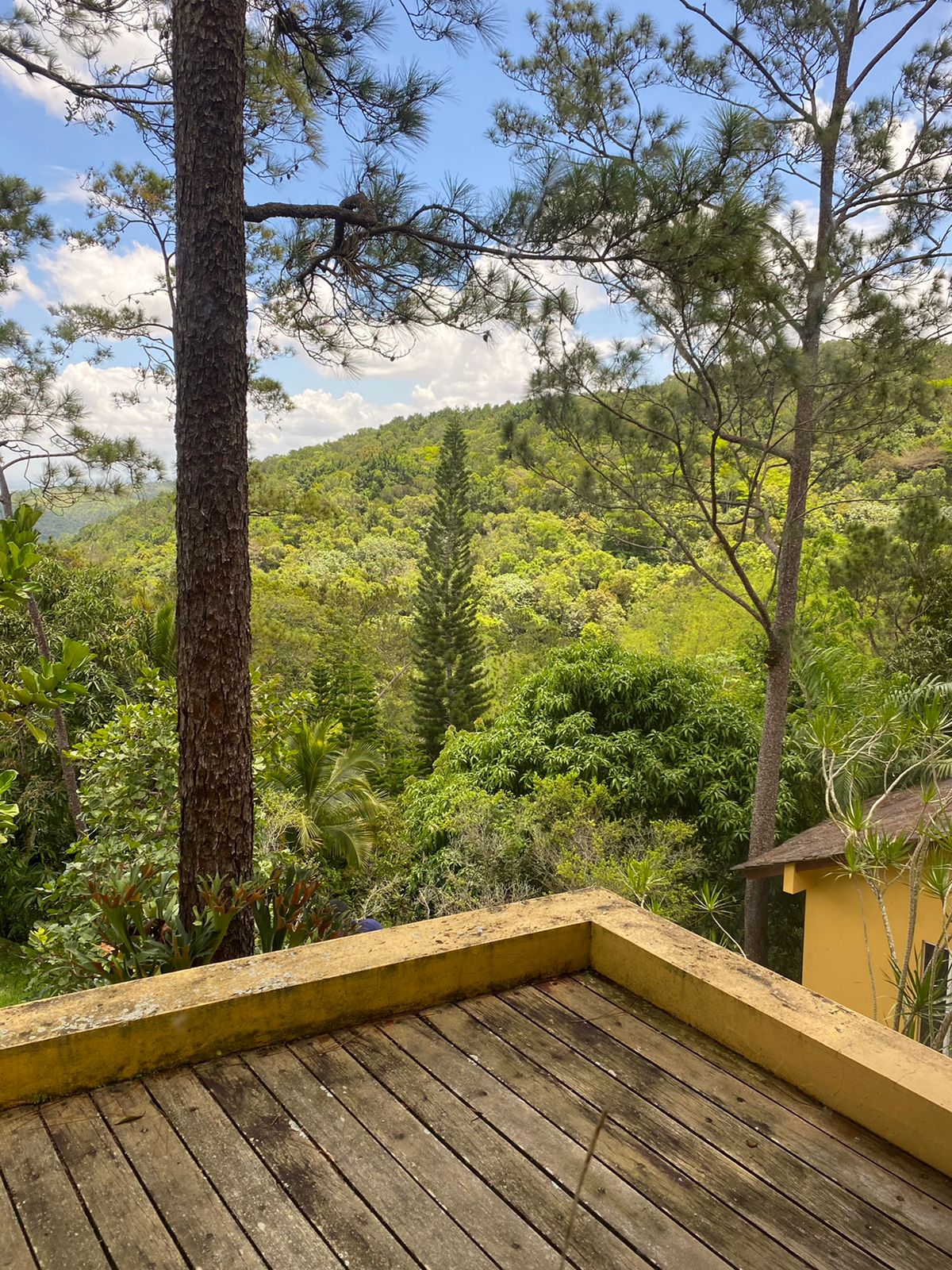Villa en Venta en Los Alpes Jarabacoa Foto 7257905-2.jpg