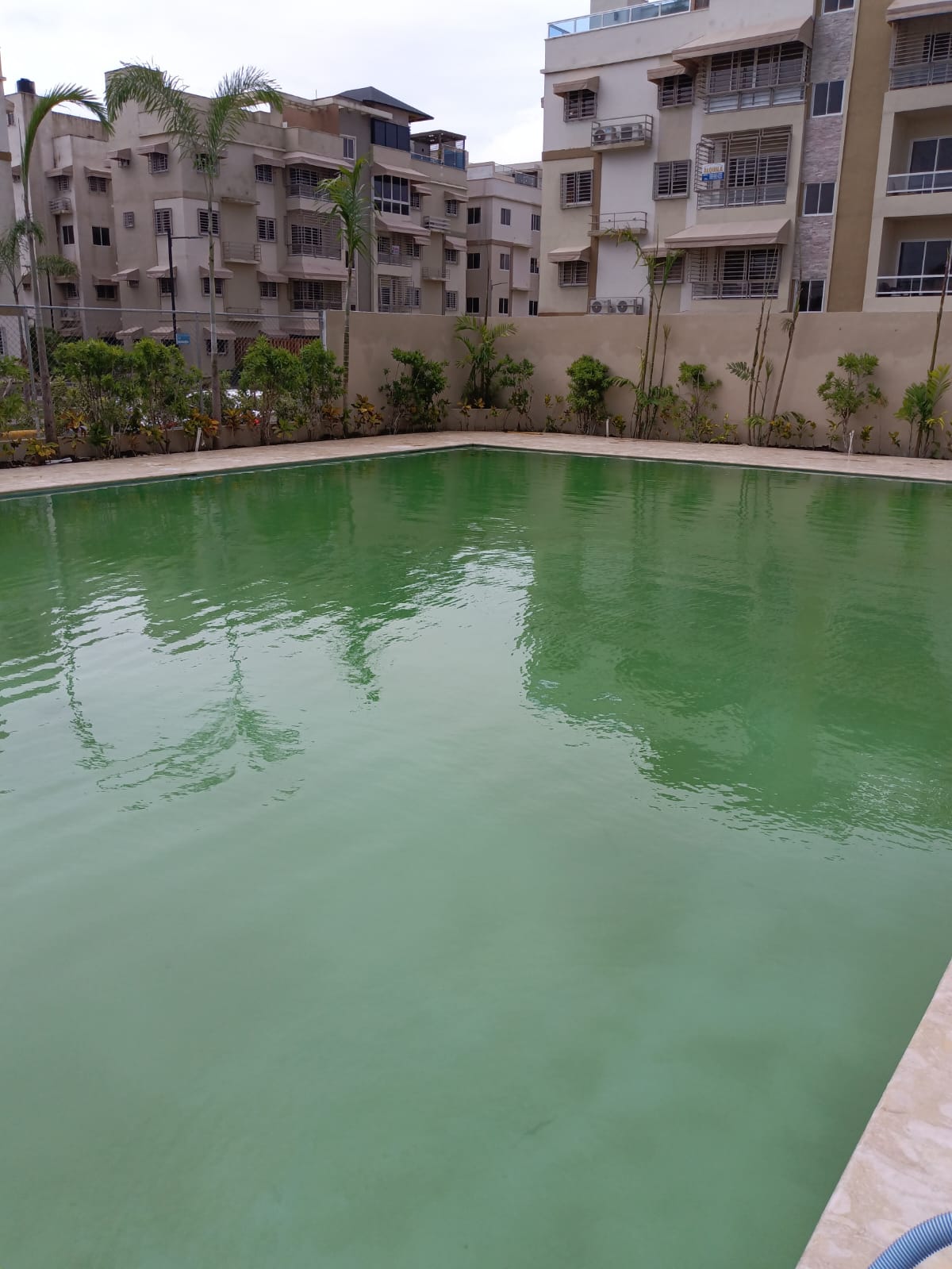 Piscinas y jacuzzi Foto 7261296-2.jpg