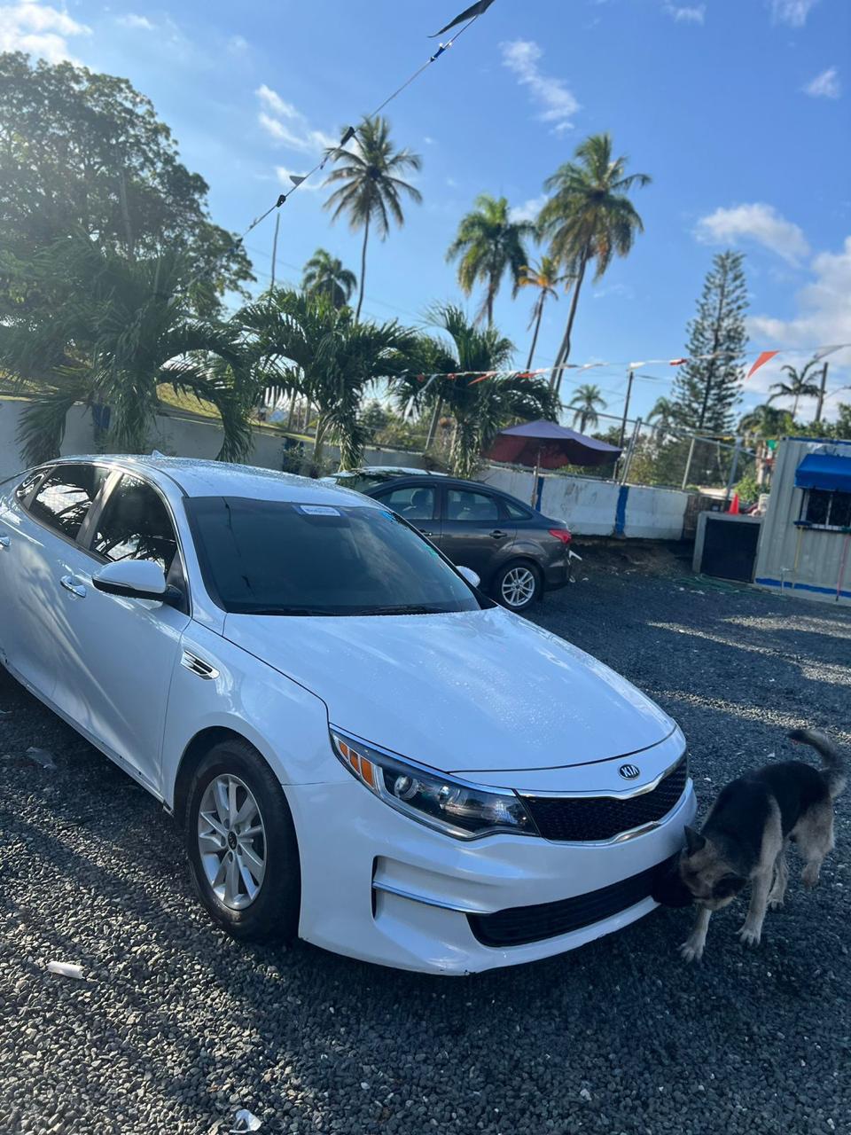 KIA OPTIMA  BLANCO 2019 AMERICANO RECIEN IMPORTADO Foto 7261519-5.jpg
