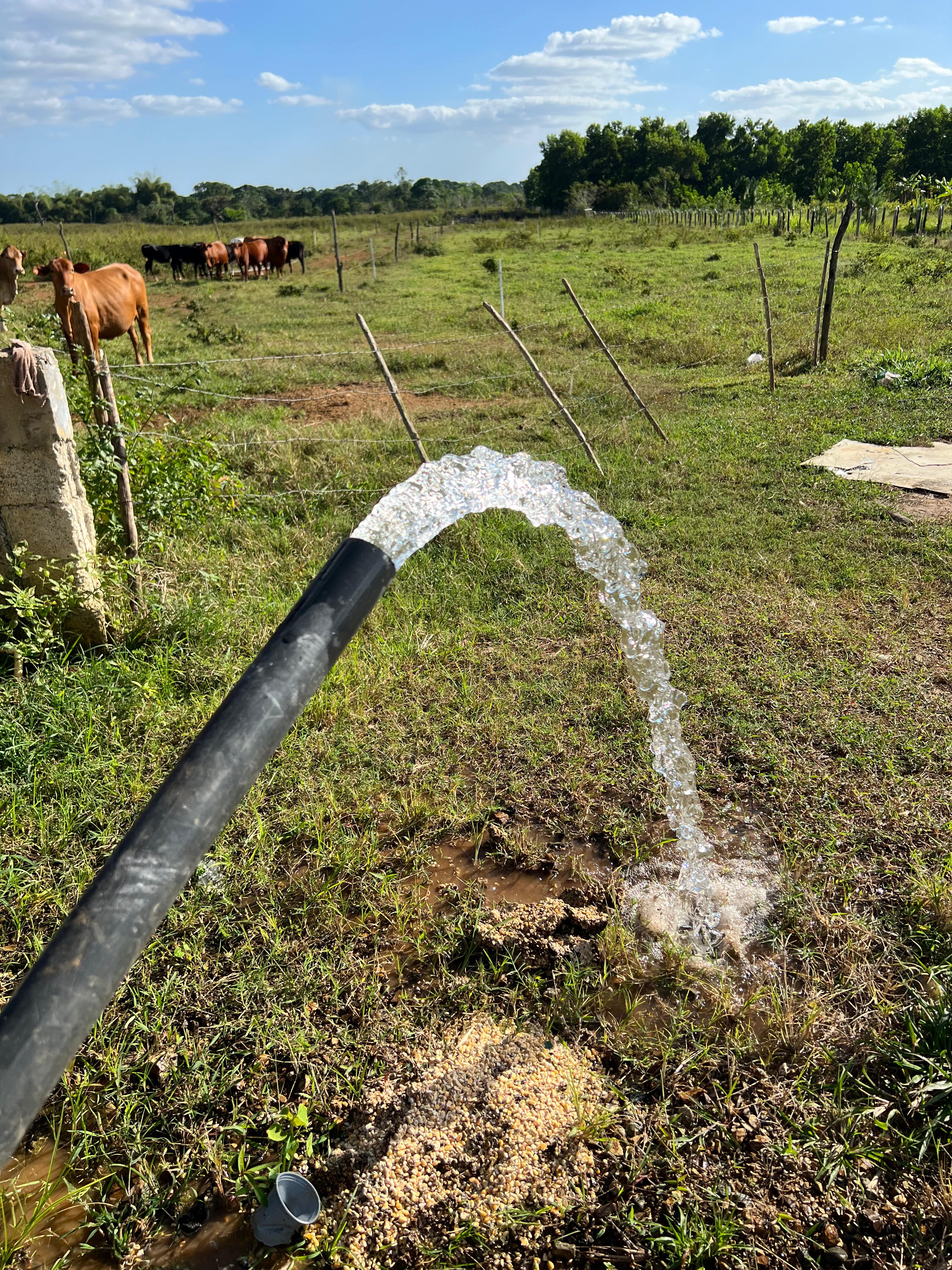 Vendo Finca GANADERA – AGRICOLA de 386 tareas con la major Ubicacion d Foto 7262088-10.jpg
