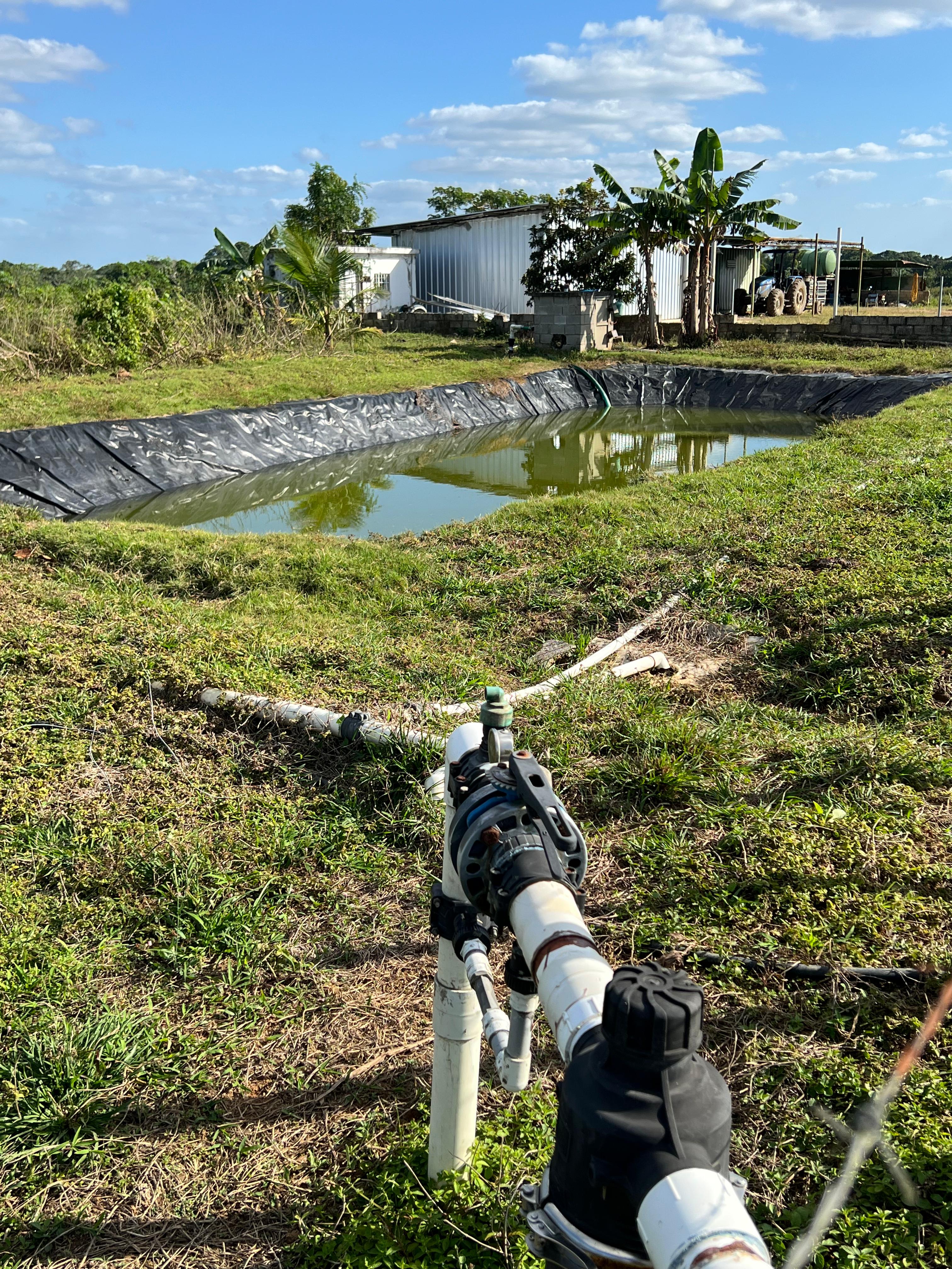 Vendo Finca GANADERA – AGRICOLA de 386 tareas con la major Ubicacion d Foto 7262088-12.jpg