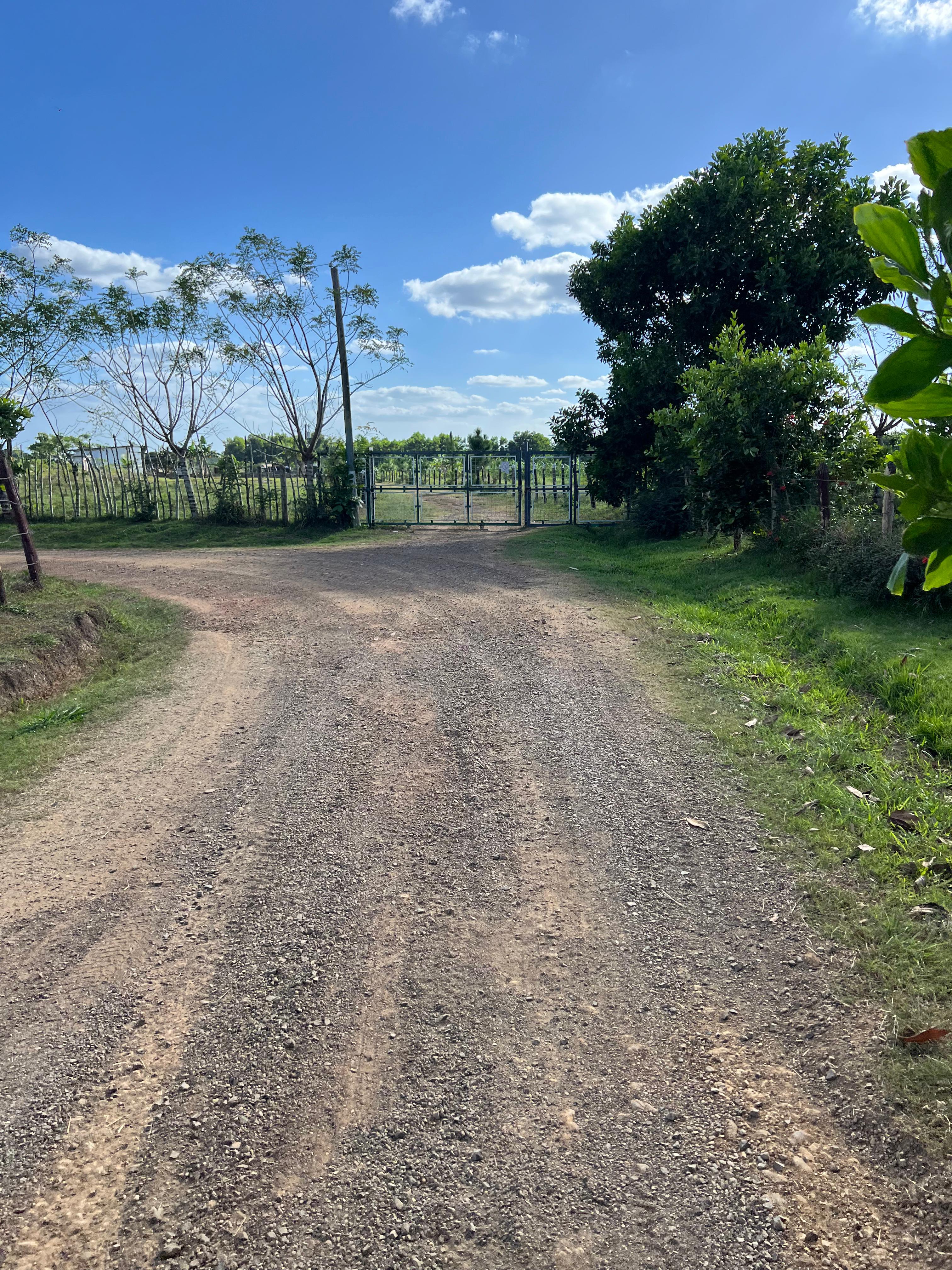 Vendo Finca GANADERA – AGRICOLA de 386 tareas con la major Ubicacion d Foto 7262088-13.jpg