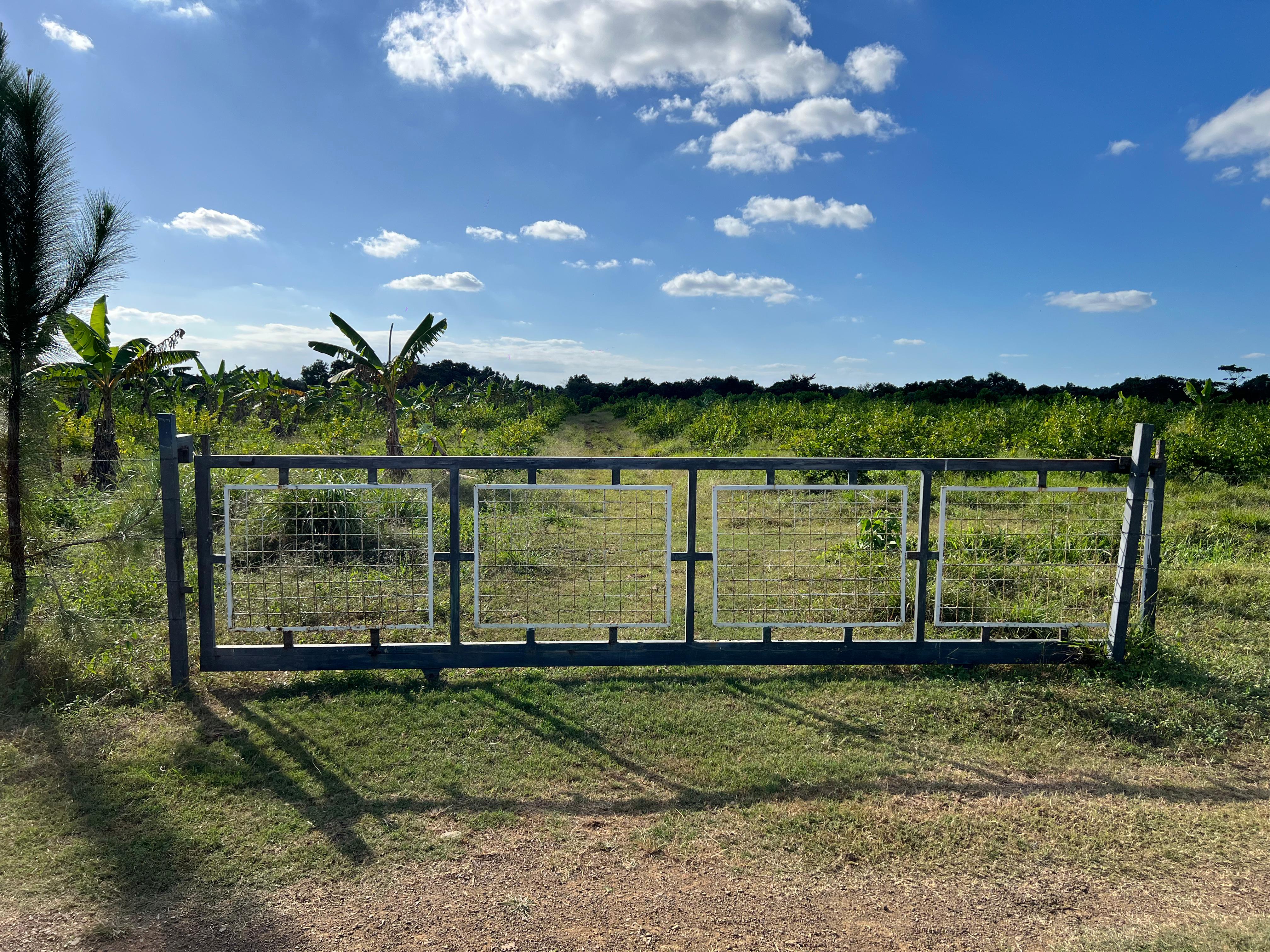 Vendo Finca GANADERA – AGRICOLA de 386 tareas con la major Ubicacion d Foto 7262088-2.jpg