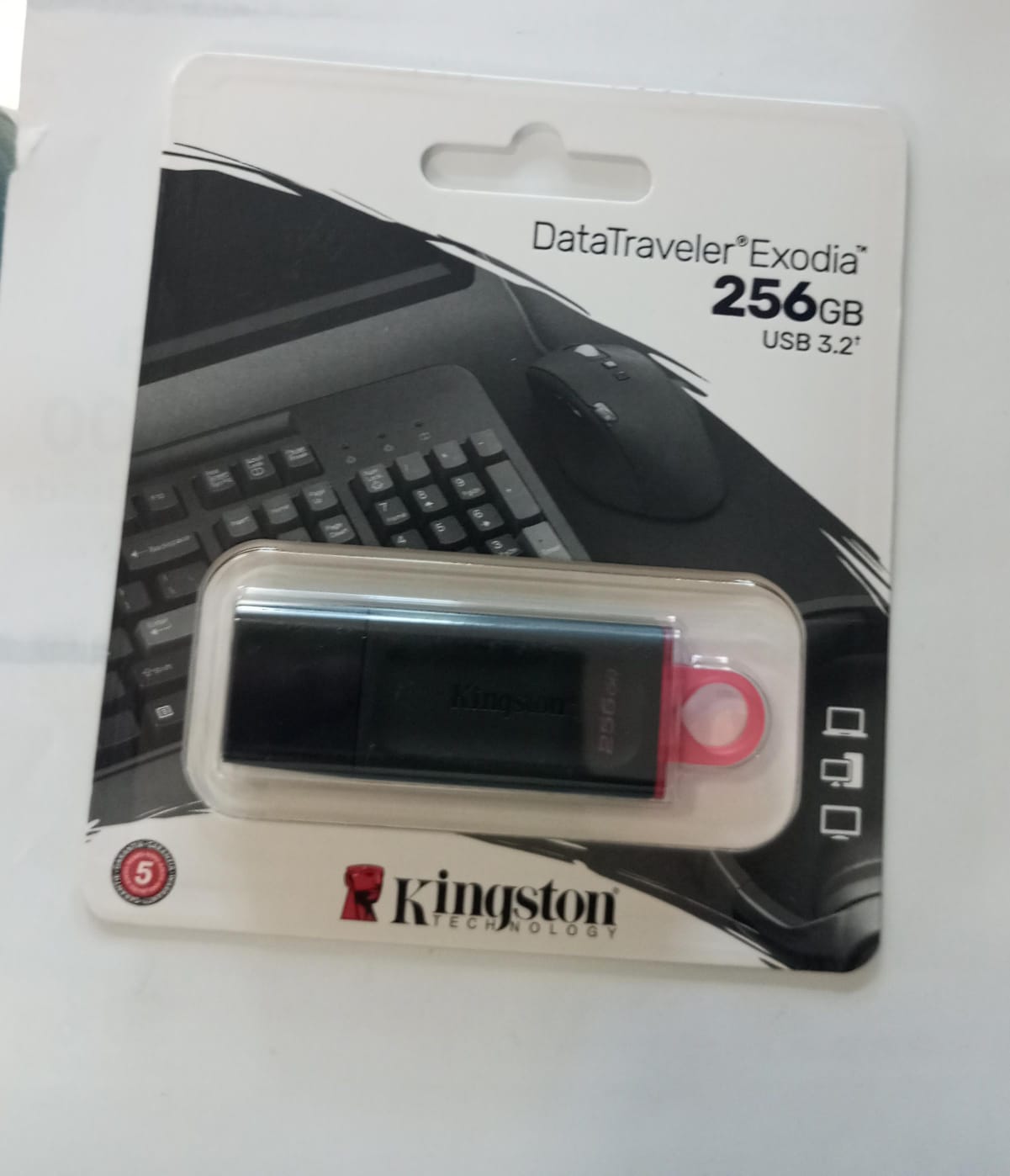 MEMORIA USB 256GB KINGSTON Foto 7262420-1.jpg