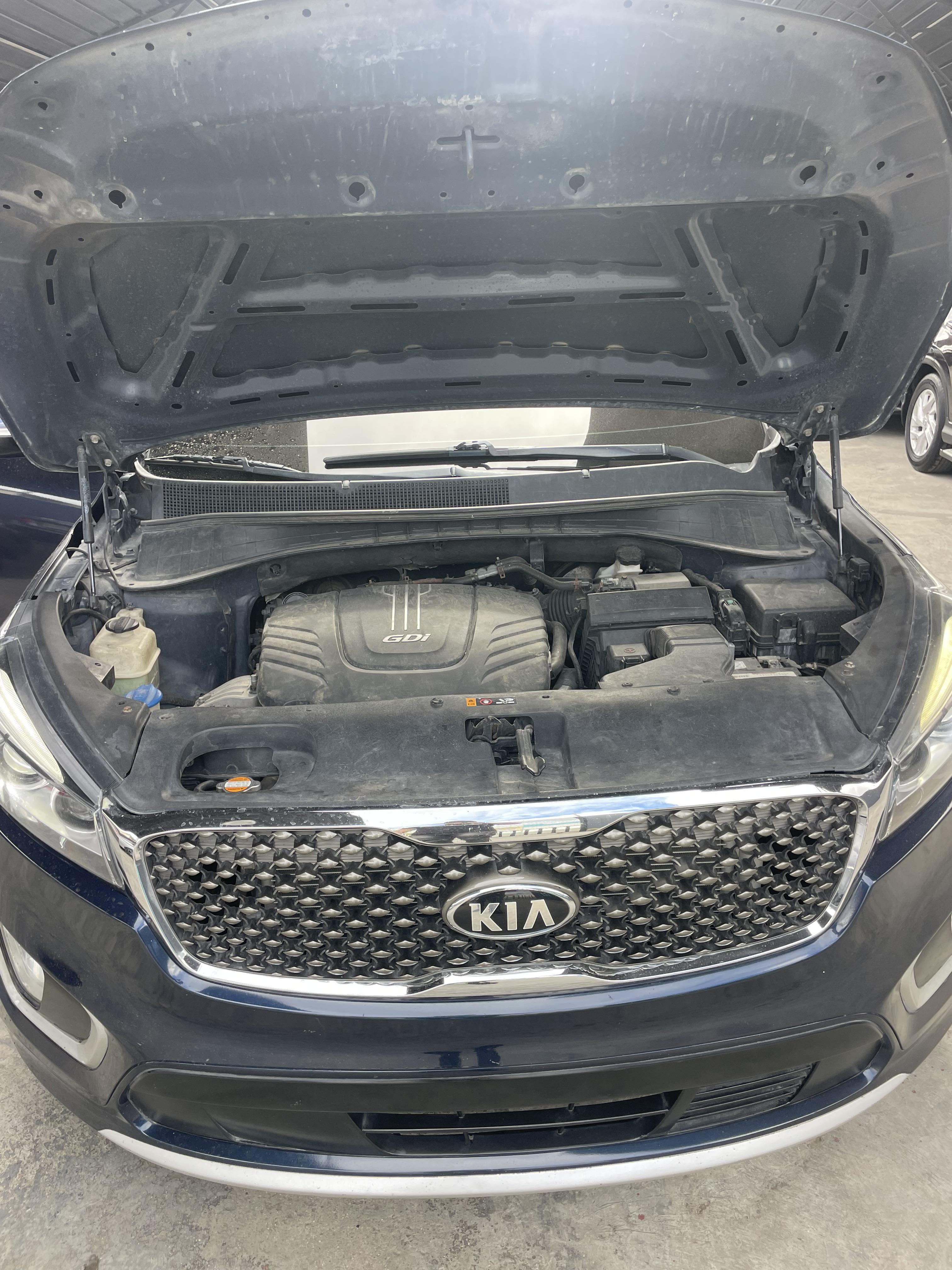 Kia sorento EX 2017 en Peravia Foto 7263101-10.jpg