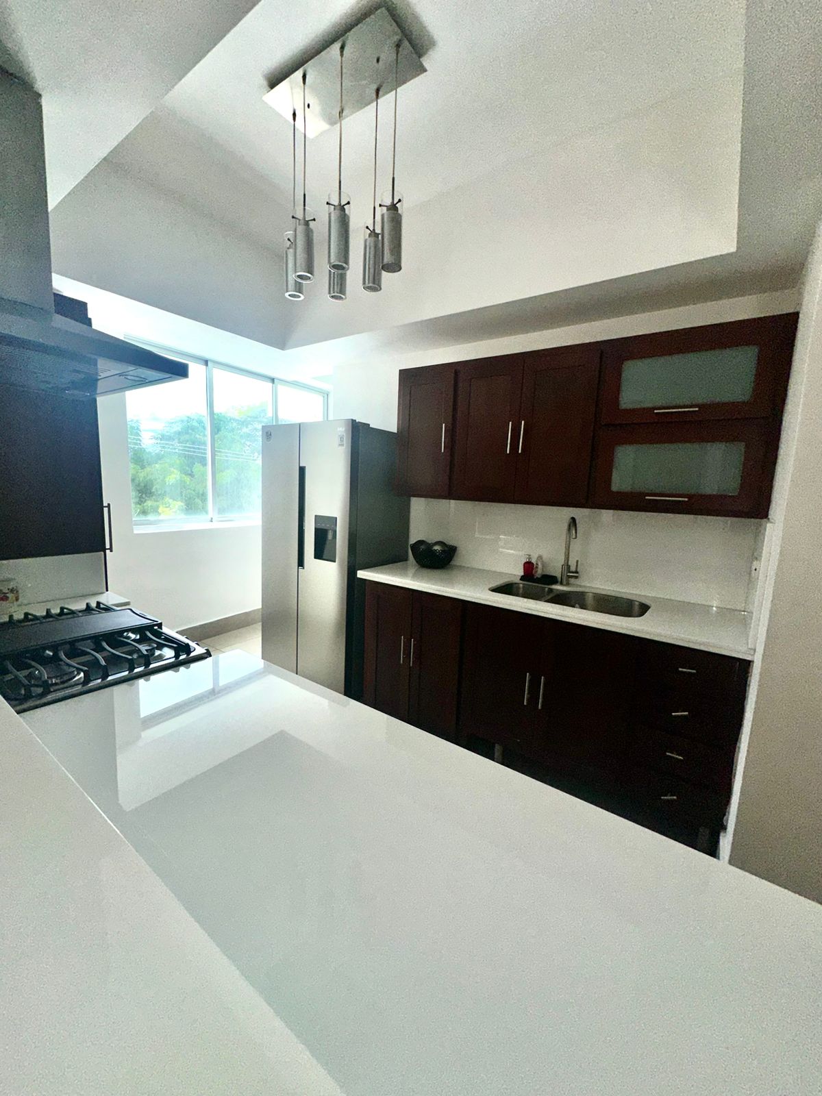 Apartamento en Alquiler en Piantini 2 habitaciones Foto 7263288-7.jpg