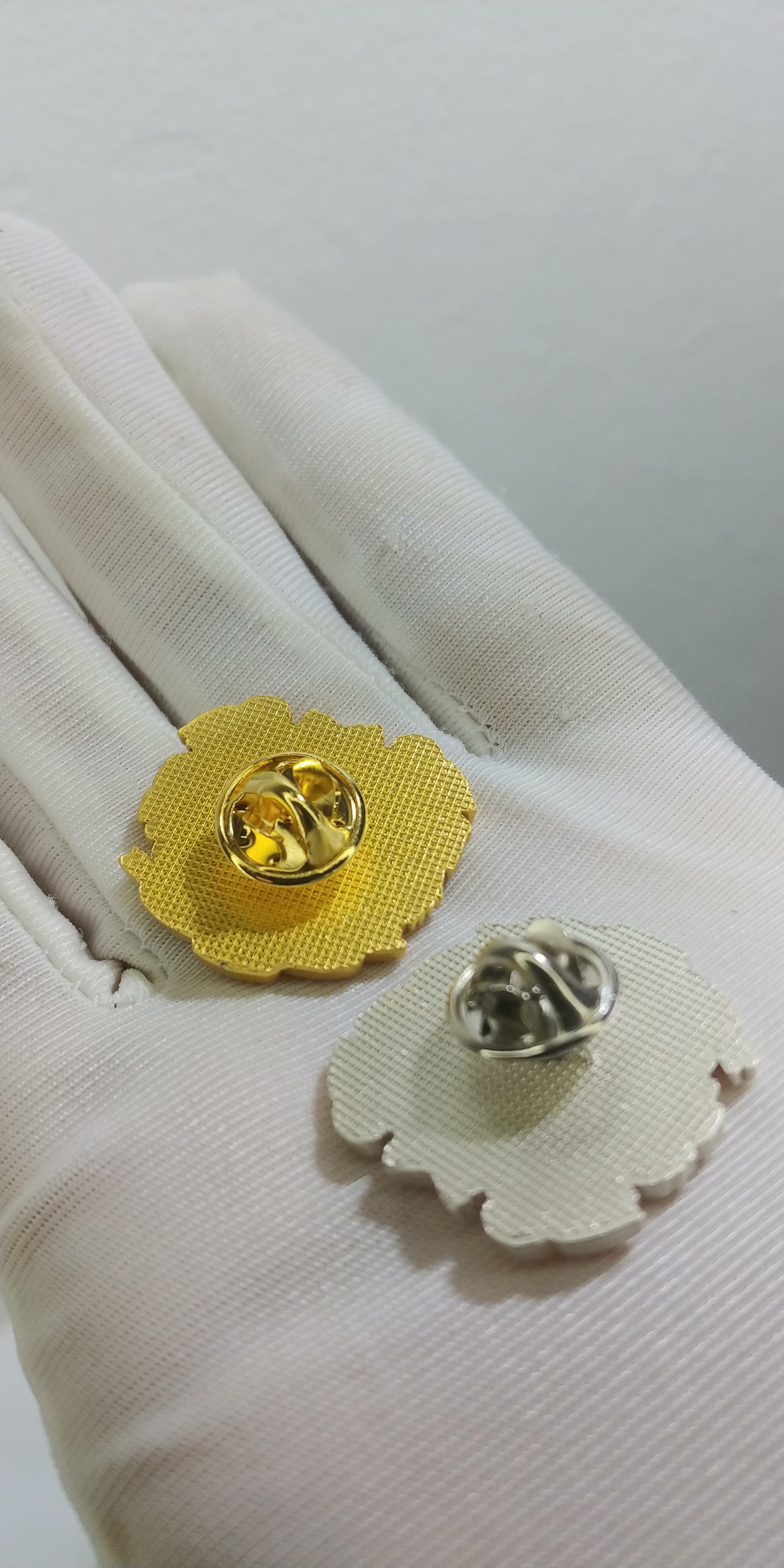 Pin del escudo  Foto 7263314-5.jpg