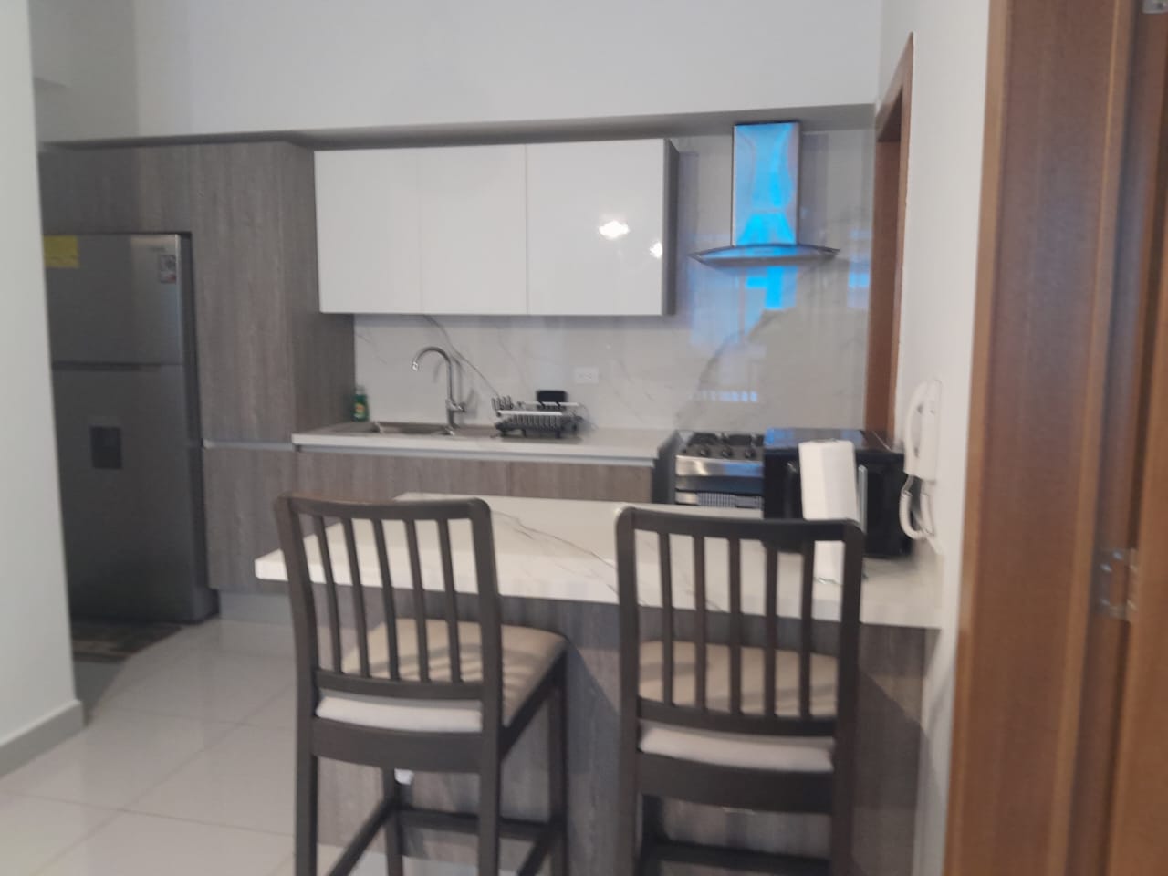 Apartamento amueblado en alquiler en Naco de 1 habitación Foto 7263745-12.jpg