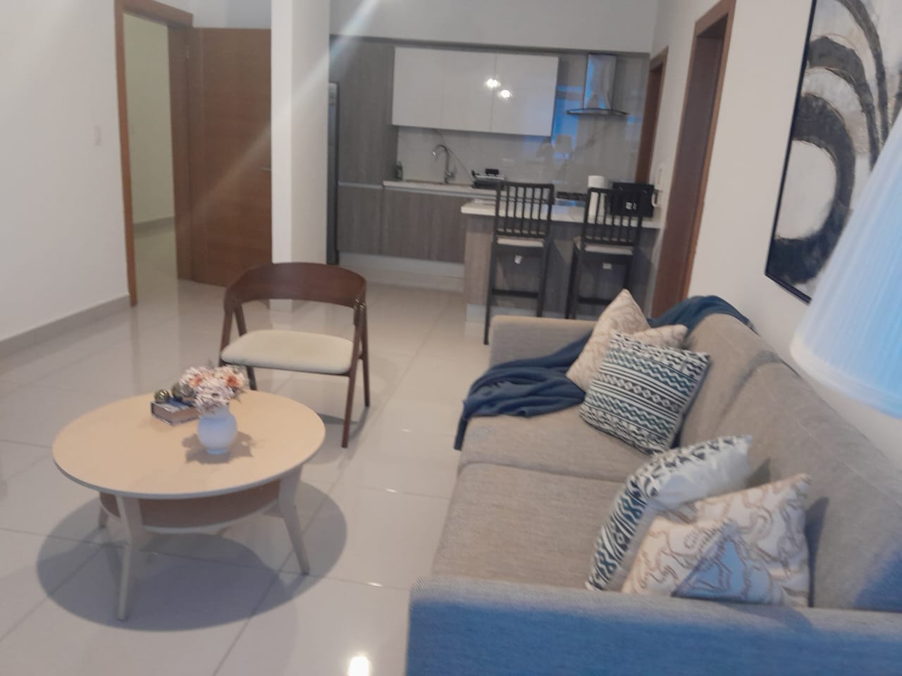 Apartamento amueblado en alquiler en Naco de 1 habitación Foto 7263745-13.jpg