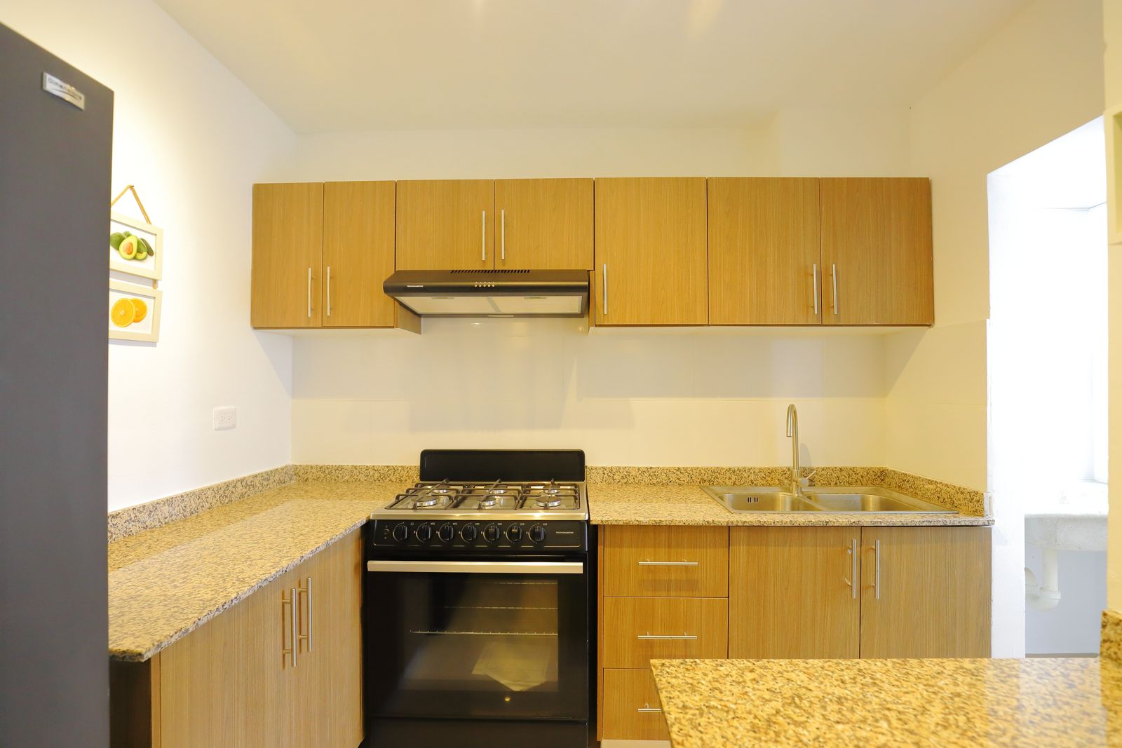APARTAMENTOS EN VENTA – CARRETERA LAS AMÉRICAS Foto 7264086-7.jpg