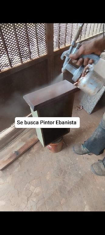 Pintor Ebanista Foto 7264504-1.jpg