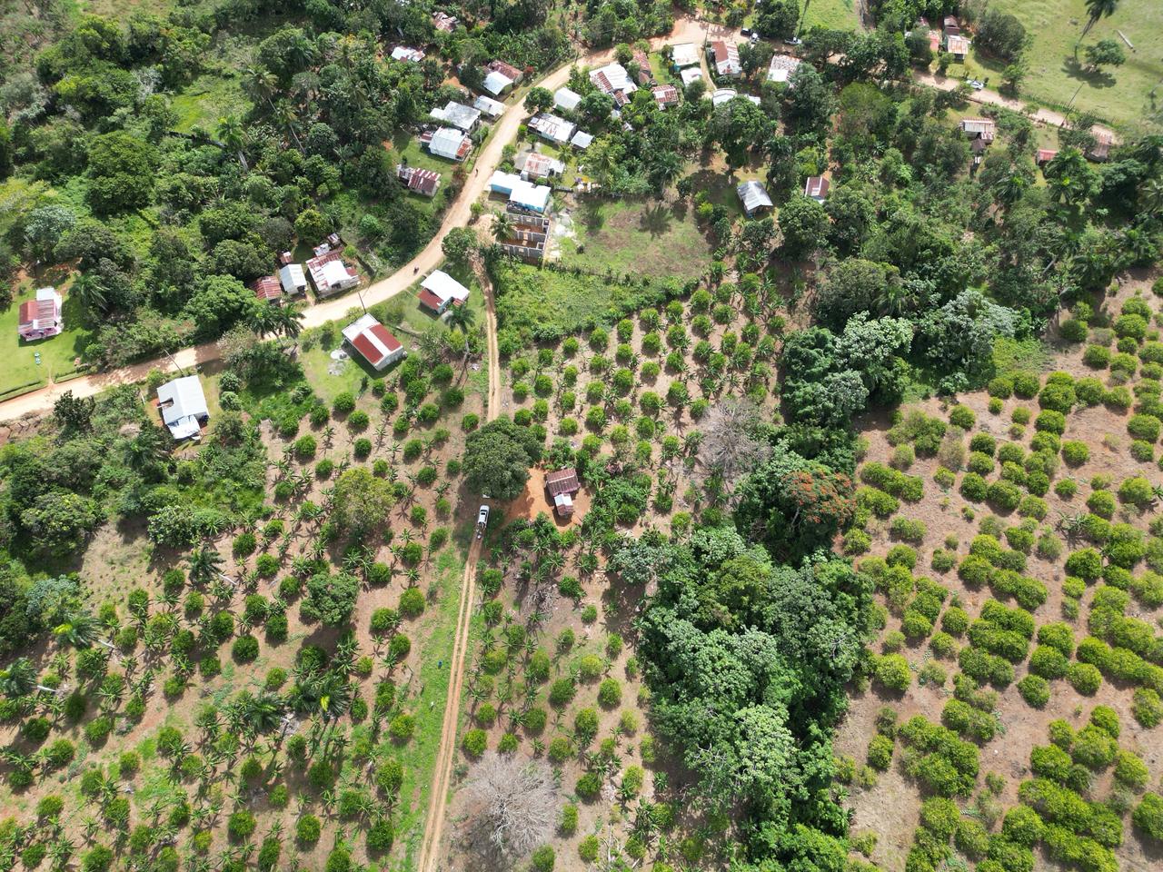 Vendo finca en Bayaguana con título y sembrada. Lee la descripción Foto 7264607-4.jpg