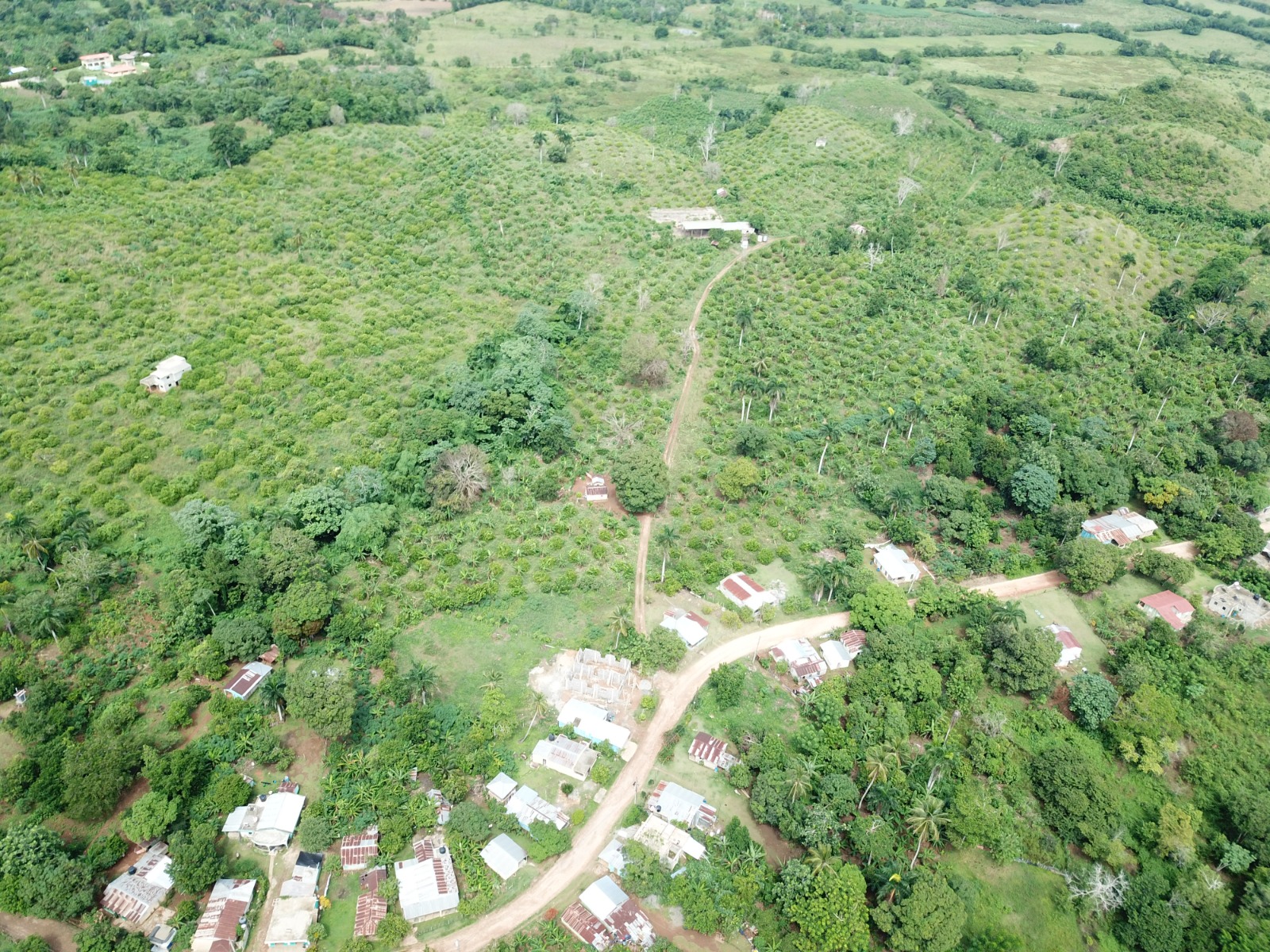 Vendo finca en Bayaguana con título cerca de Salto Alto. Lee la descri Foto 7264610-6.jpg