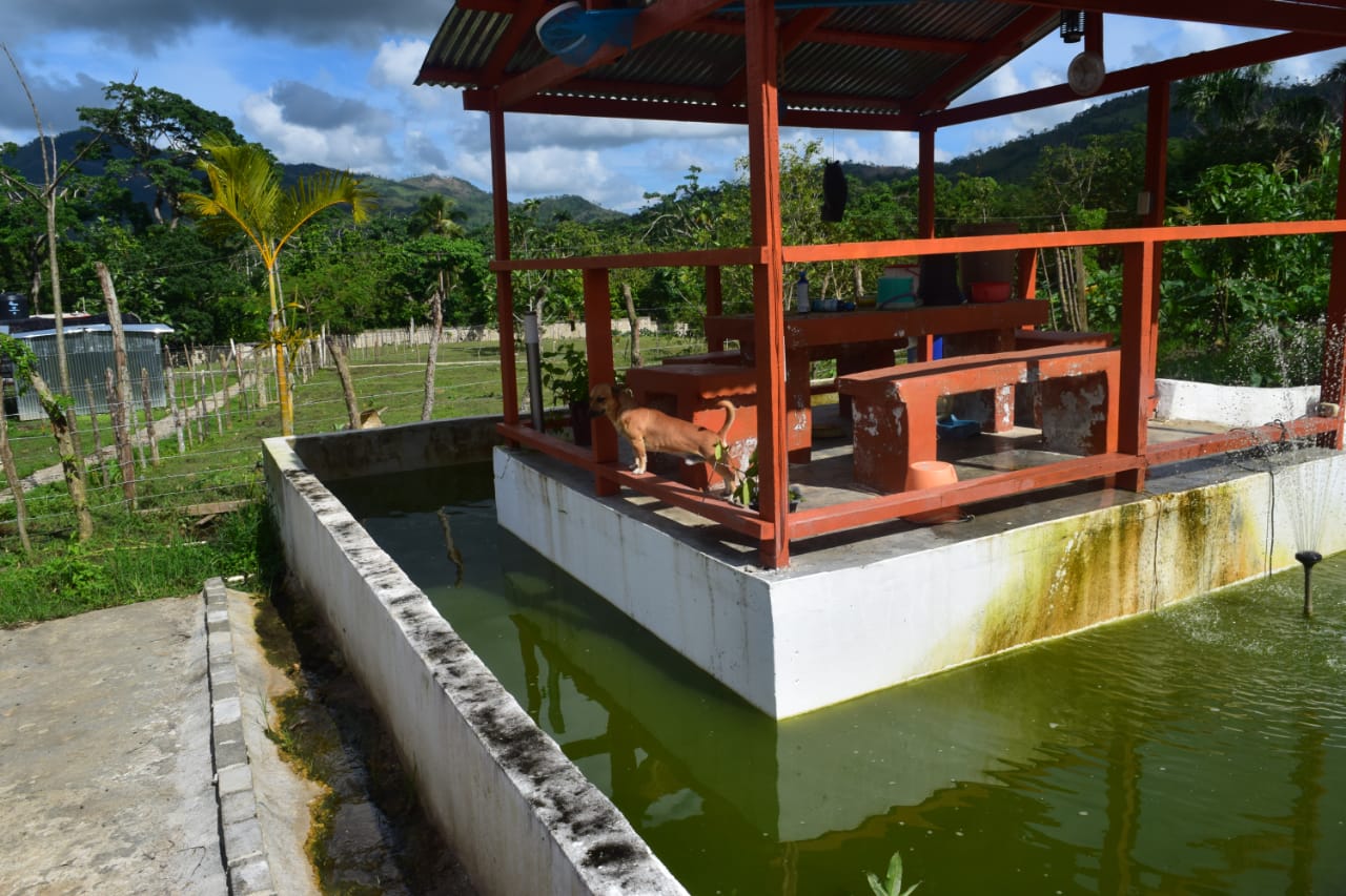VILLA DE LUJO  AMUEBLADA 2 NIVELES EN LA MONTAÑA DE  ANAMUYA HIGUEY 80 Foto 7264857-9.jpg