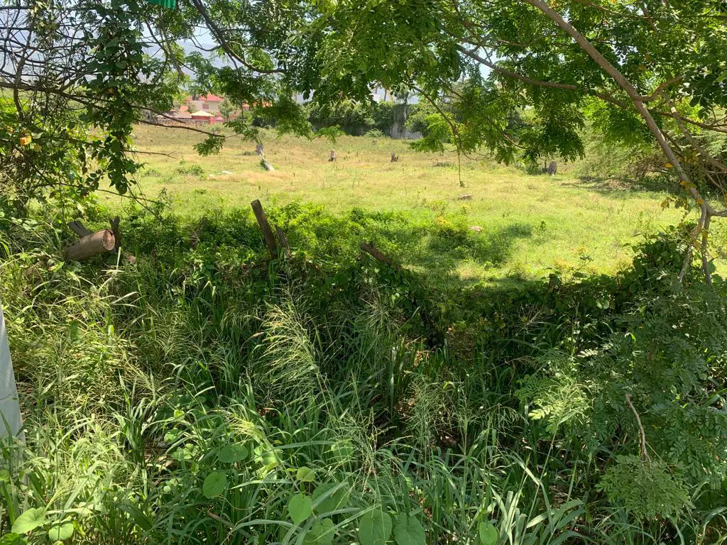 SE VENDE 24250 mts.2 de Terreno en La Autopista Santiago–Navarrete PRE Foto 7264863-5.jpg