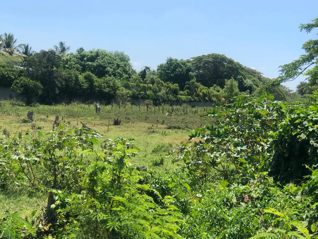 SE VENDE 24250 mts.2 de Terreno en La Autopista Santiago–Navarrete PRE Foto 7264863-9.jpg