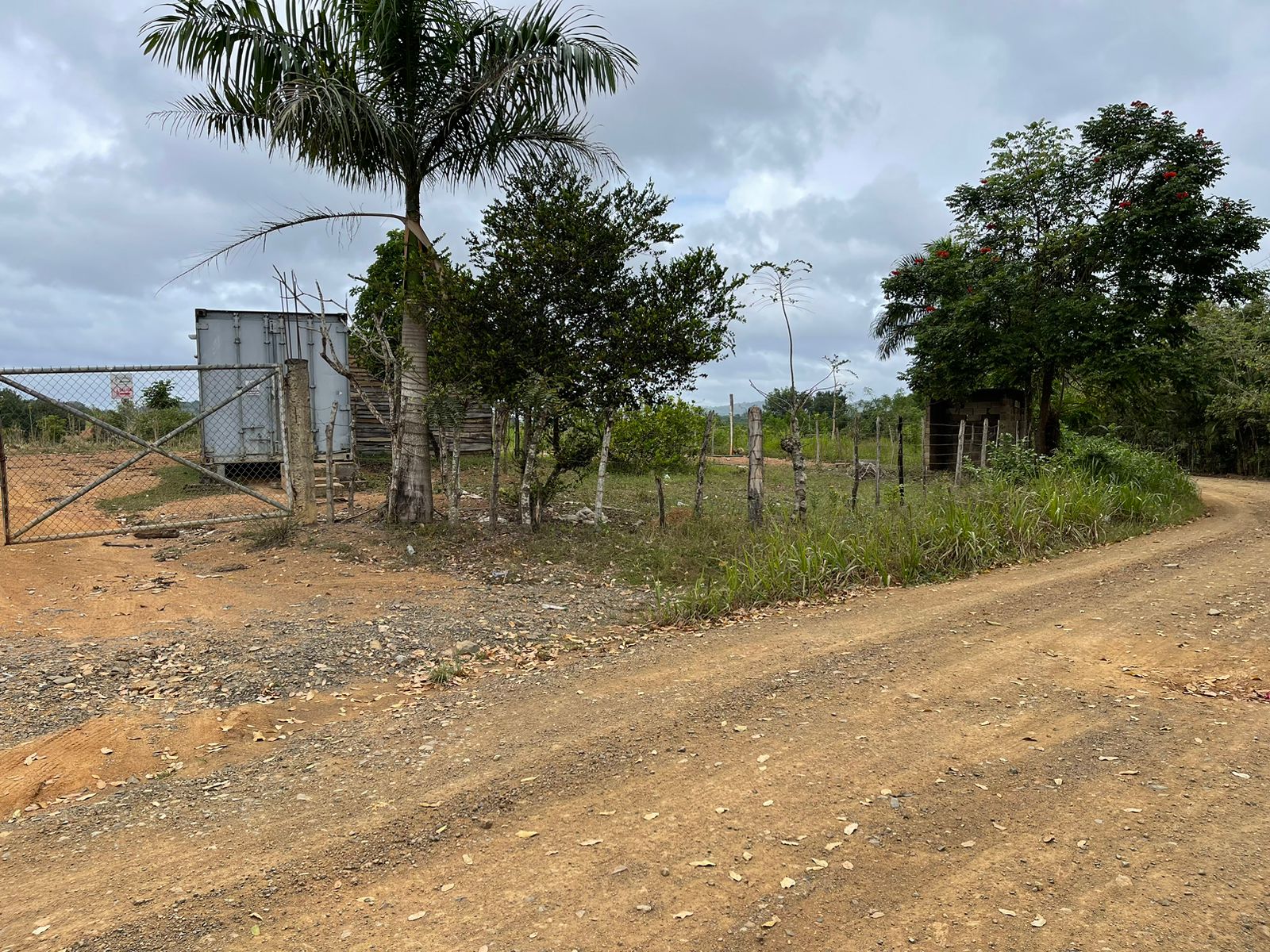 VENDO SUPER FINCA DE 105 TAREAS A 300 Mts. DE LA  CARRETERA EN DON JUA Foto 7264869-11.jpg