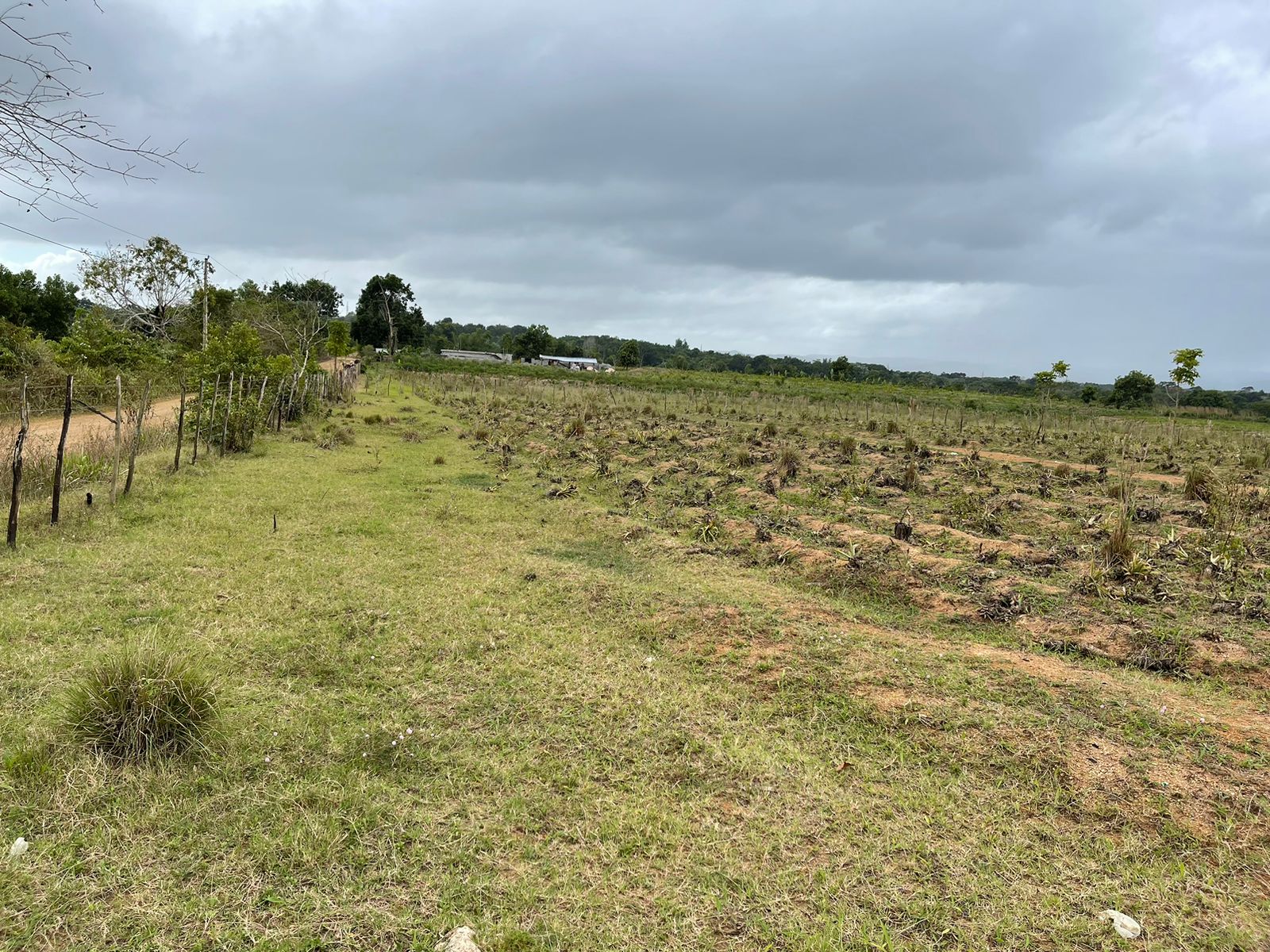 VENDO SUPER FINCA DE 105 TAREAS A 300 Mts. DE LA  CARRETERA EN DON JUA Foto 7264869-3.jpg