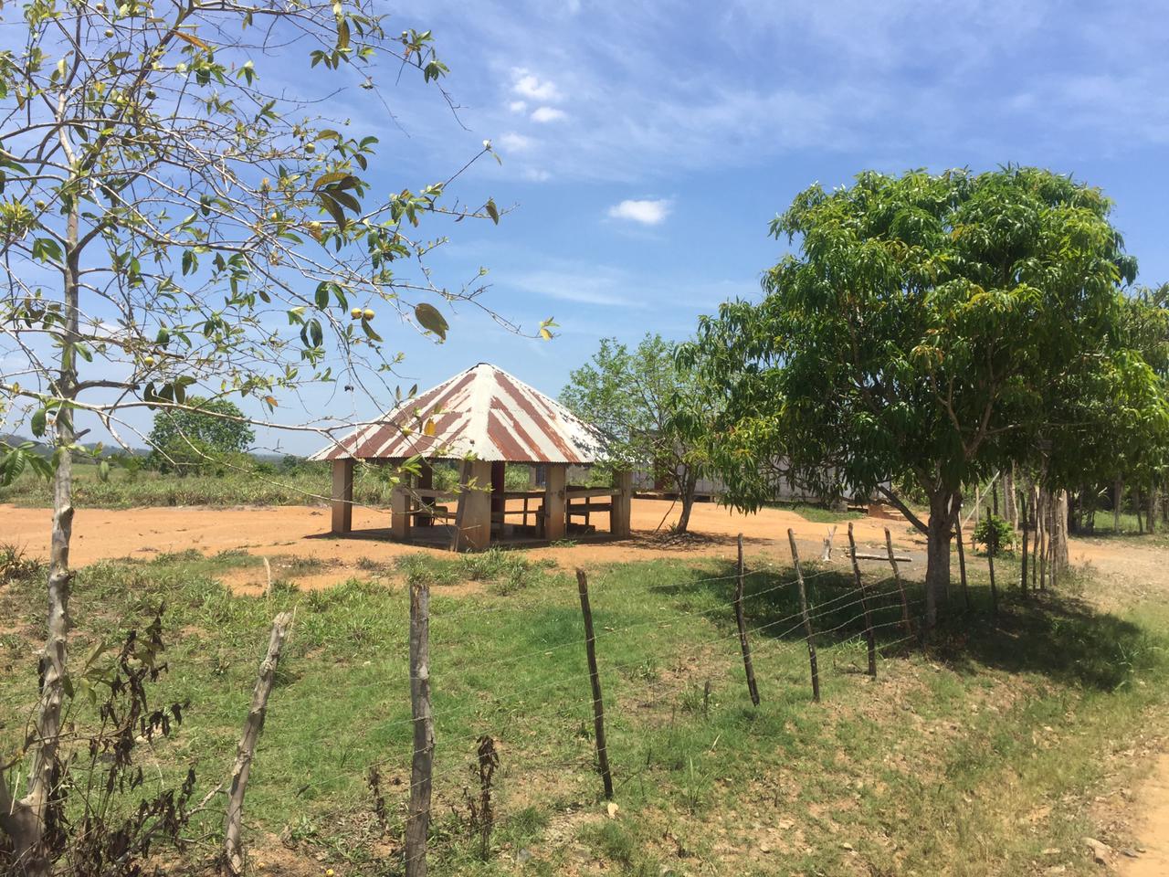 VENDO SUPER FINCA DE 105 TAREAS A 300 Mts. DE LA  CARRETERA EN DON JUA Foto 7264869-5.jpg