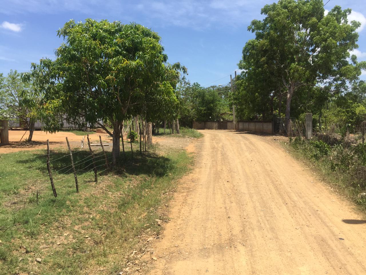 VENDO SUPER FINCA DE 105 TAREAS A 300 Mts. DE LA  CARRETERA EN DON JUA Foto 7264869-7.jpg