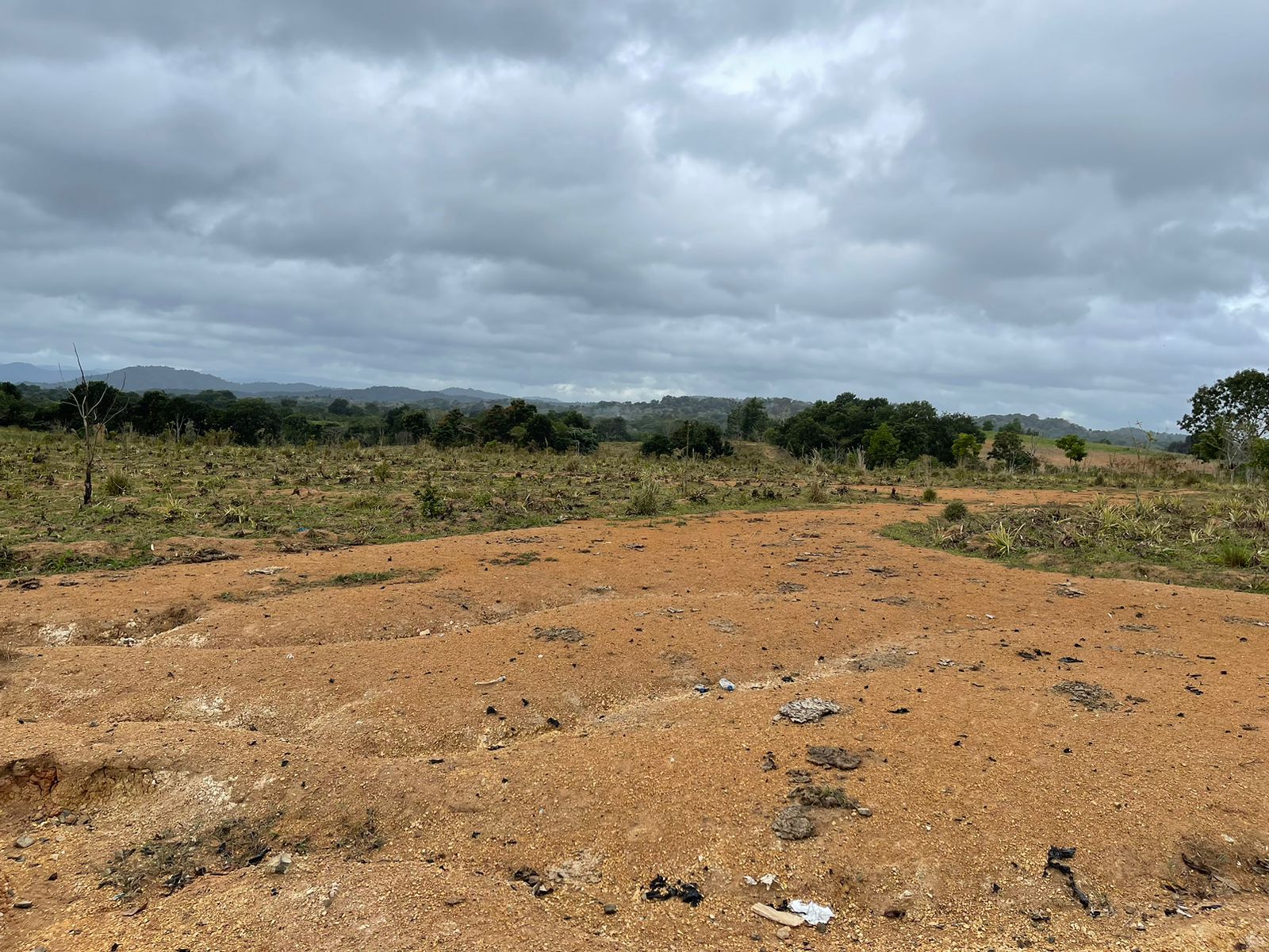 VENDO SUPER FINCA DE 105 TAREAS A 300 Mts. DE LA  CARRETERA EN DON JUA Foto 7264869-9.jpg