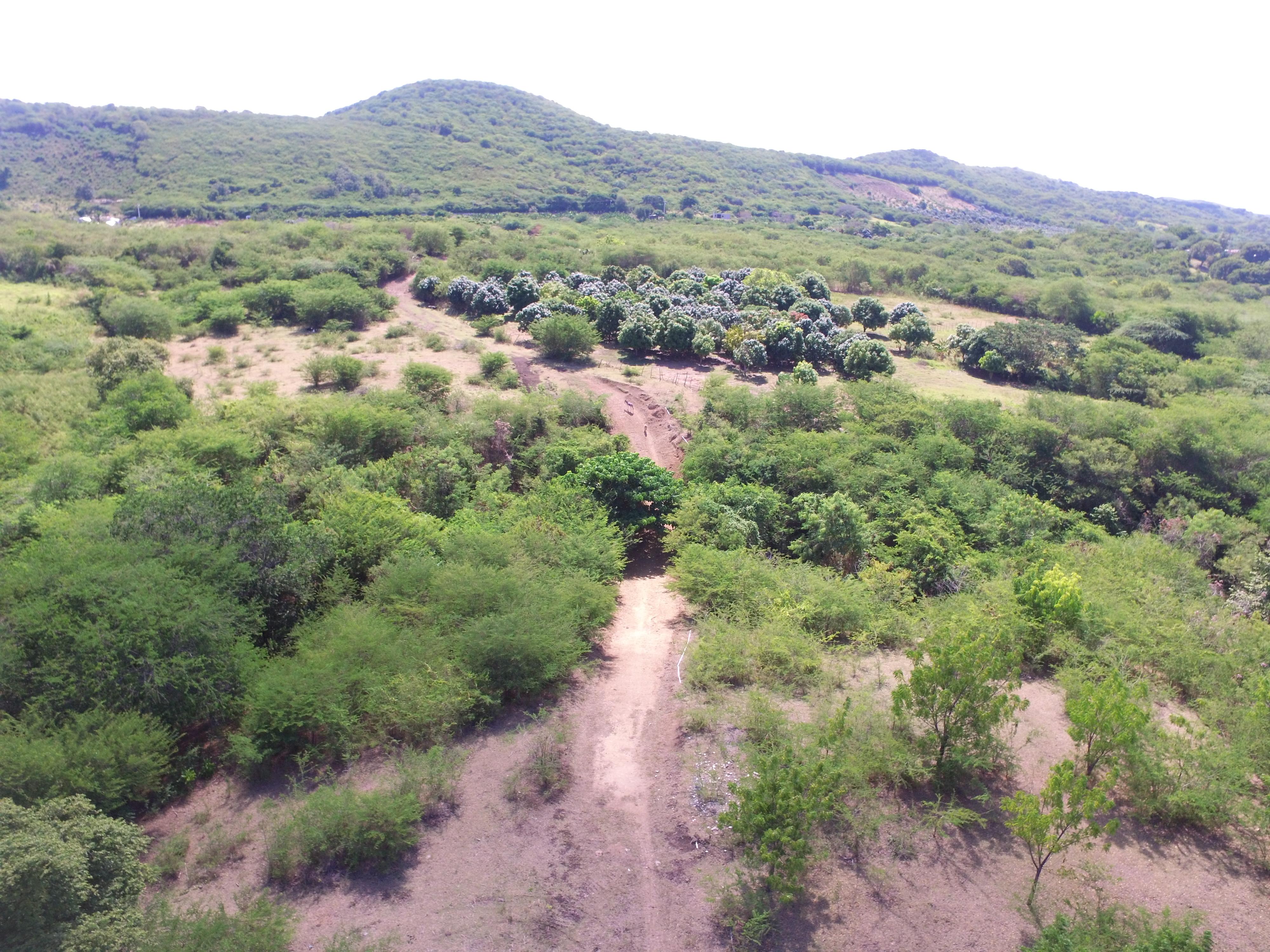 Finca en Bani 218 Tarea Foto 7264871-7.jpg