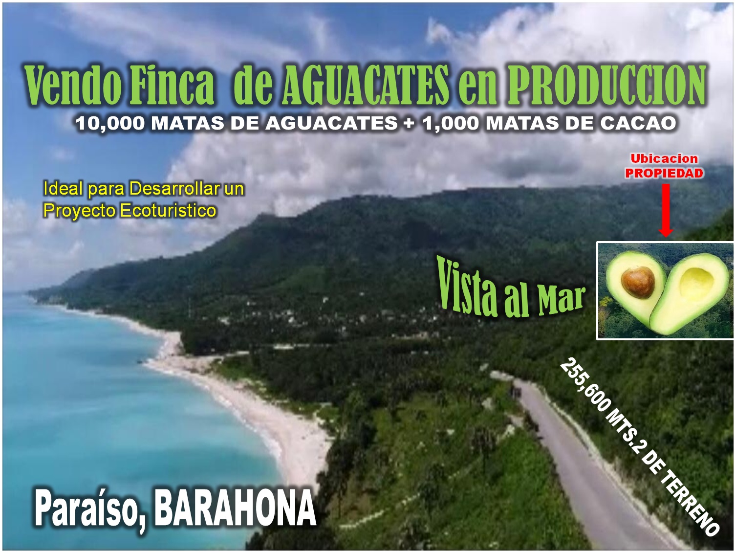 Vendo Finca de AGUACATE en PRODUCCION en Paraíso BARAHONA 255600 Mts.2 Foto 7264872-10.jpg