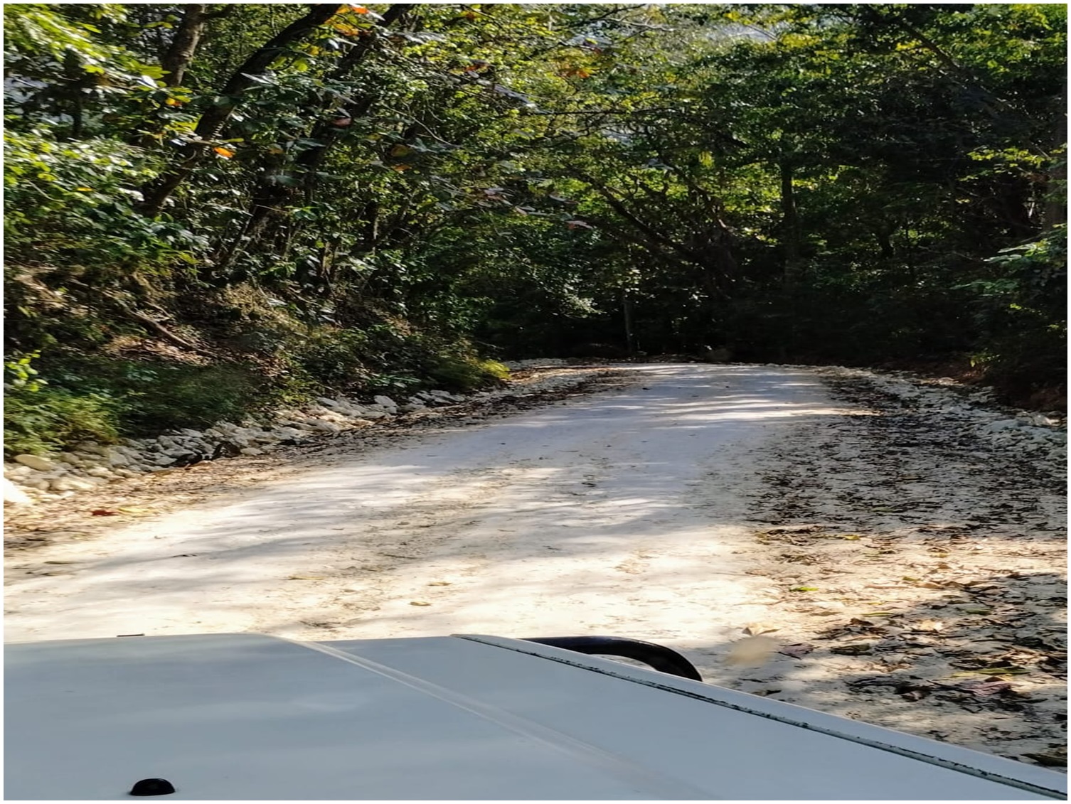 Vendo Finca de AGUACATE en PRODUCCION en Paraíso BARAHONA 255600 Mts.2 Foto 7264872-11.jpg