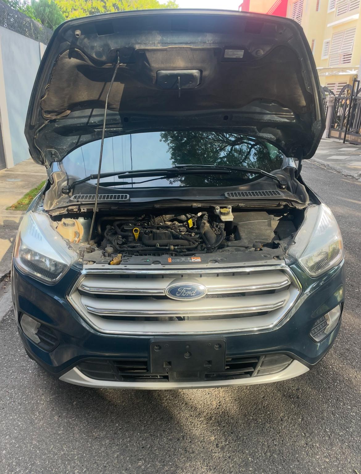 Ford Escape SE 4WD 2019 clean carfax en Peravia Foto 7265717-11.jpg