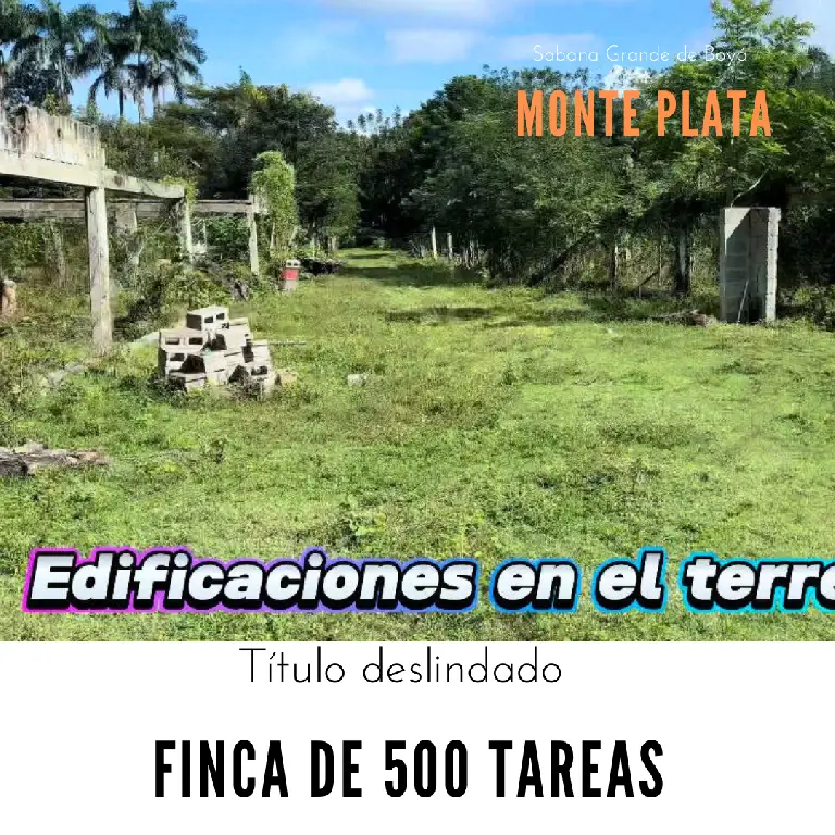 Finca de 500 tareas con vocación Ganadera y Agrícola en Sabana Grande  Foto 7265954-1.jpg